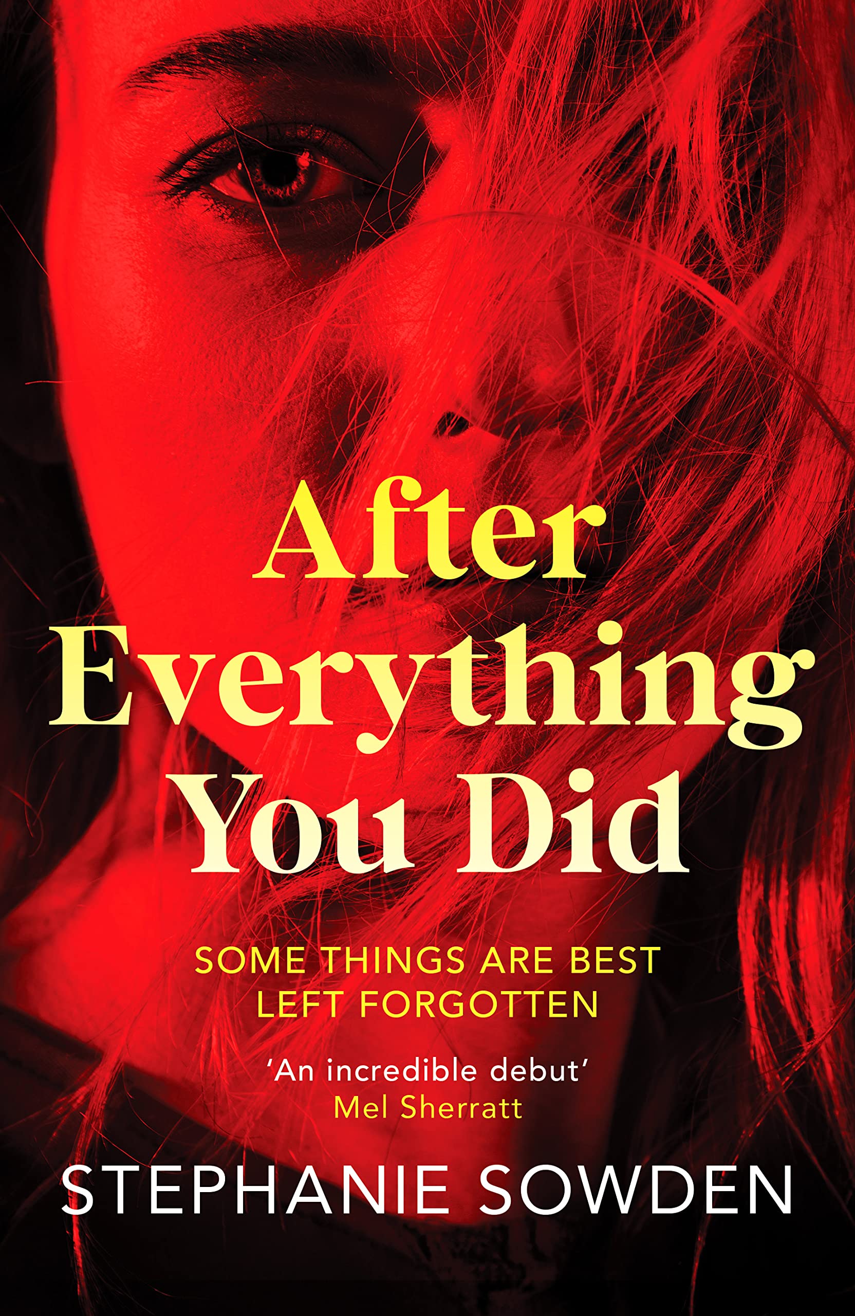 Buy After Everything You Did — BookShops.in