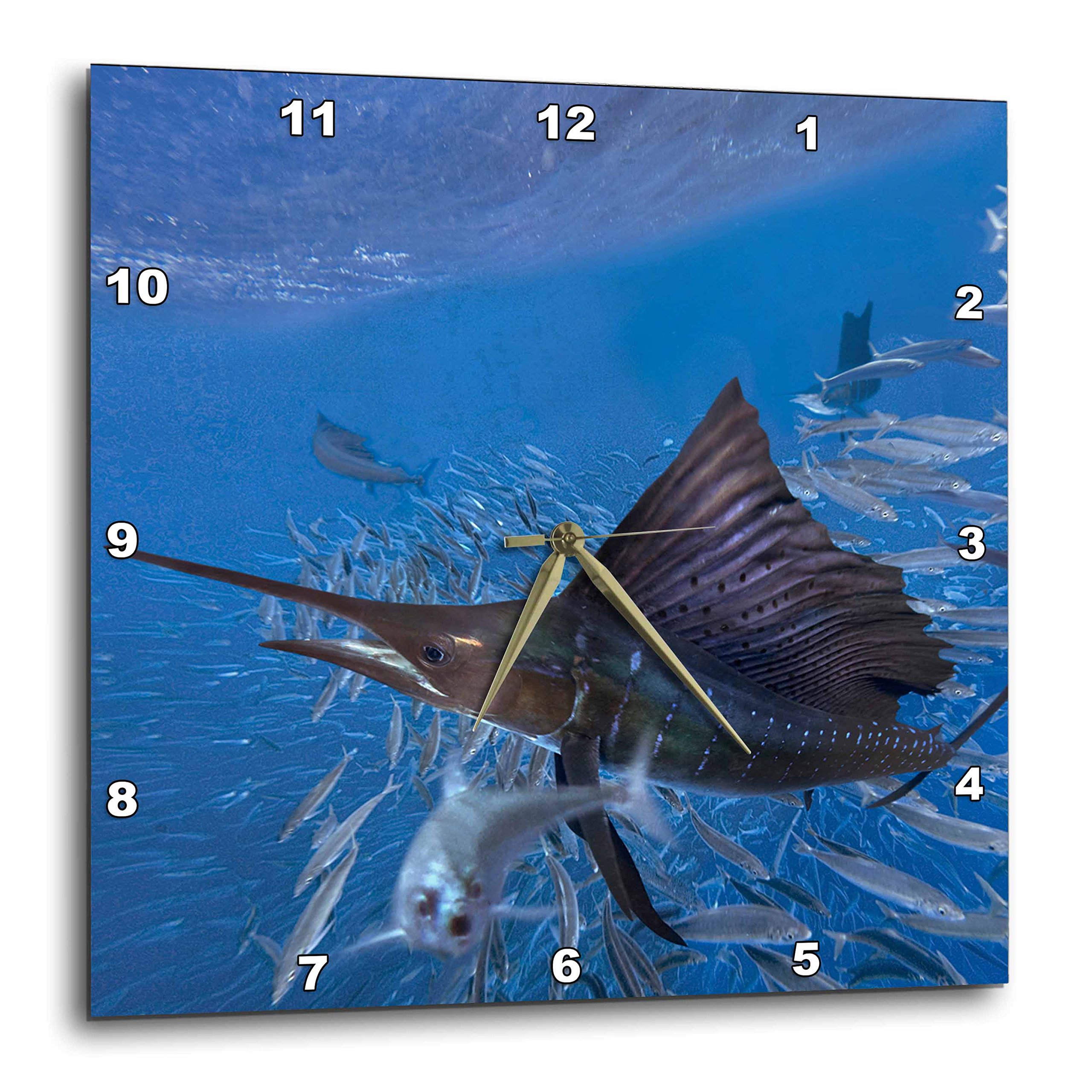 Horloge murale de prestige Sailfish Indo-Pacifique finition haute définition
