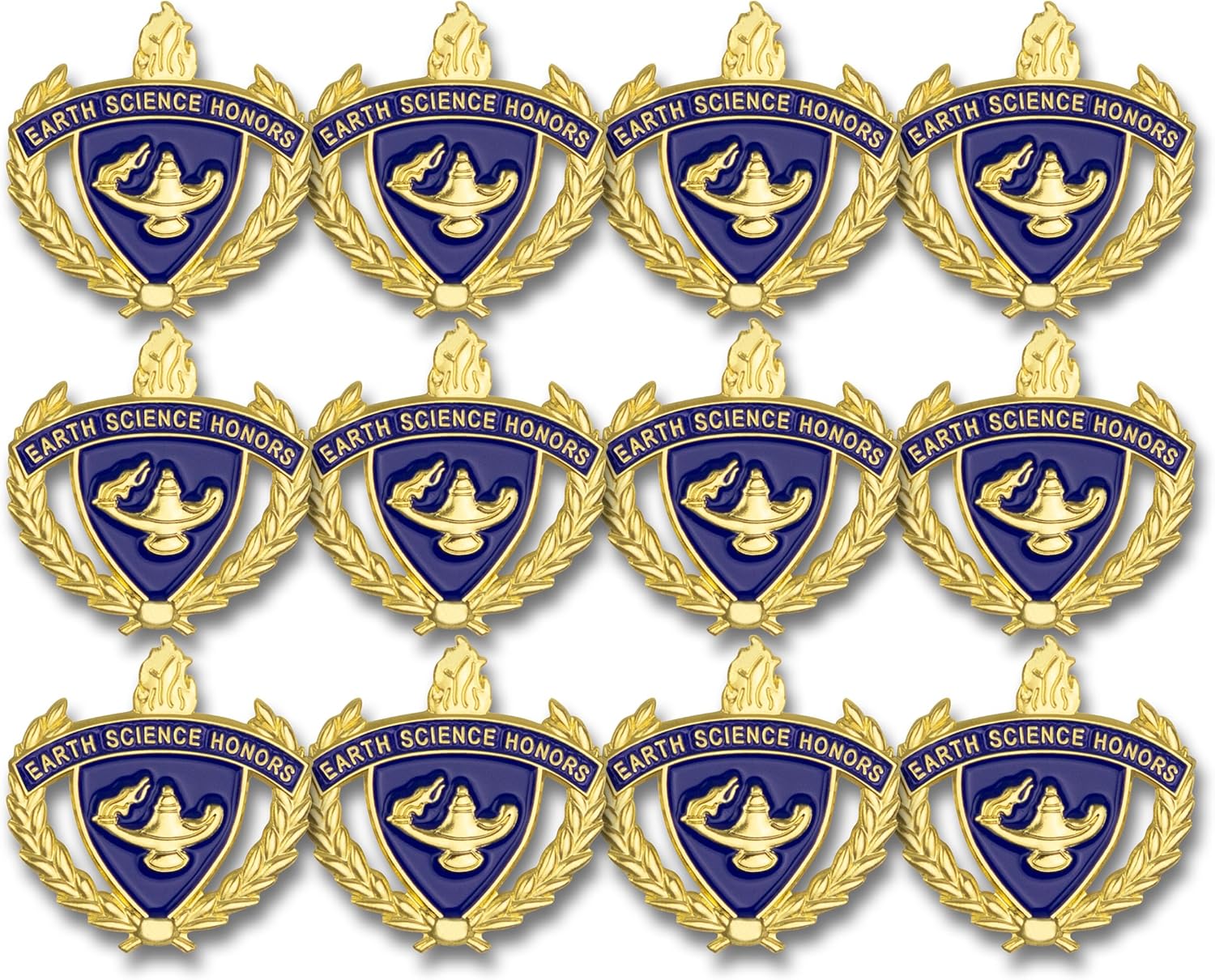 SHOP AWARDS AND GIFTS HP Academic Honors Series 1 Inch Lapel Pins