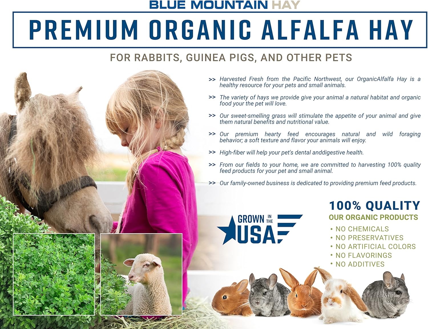 Blue Mountain Hay High-Altitude Organic Alfalfa Hay (25 lb), High Protein Fiber & Mineral Rich, Soft Leafy Texture with High Leaf Retention, Premium Quality Feed for Small Pets and Farm Use