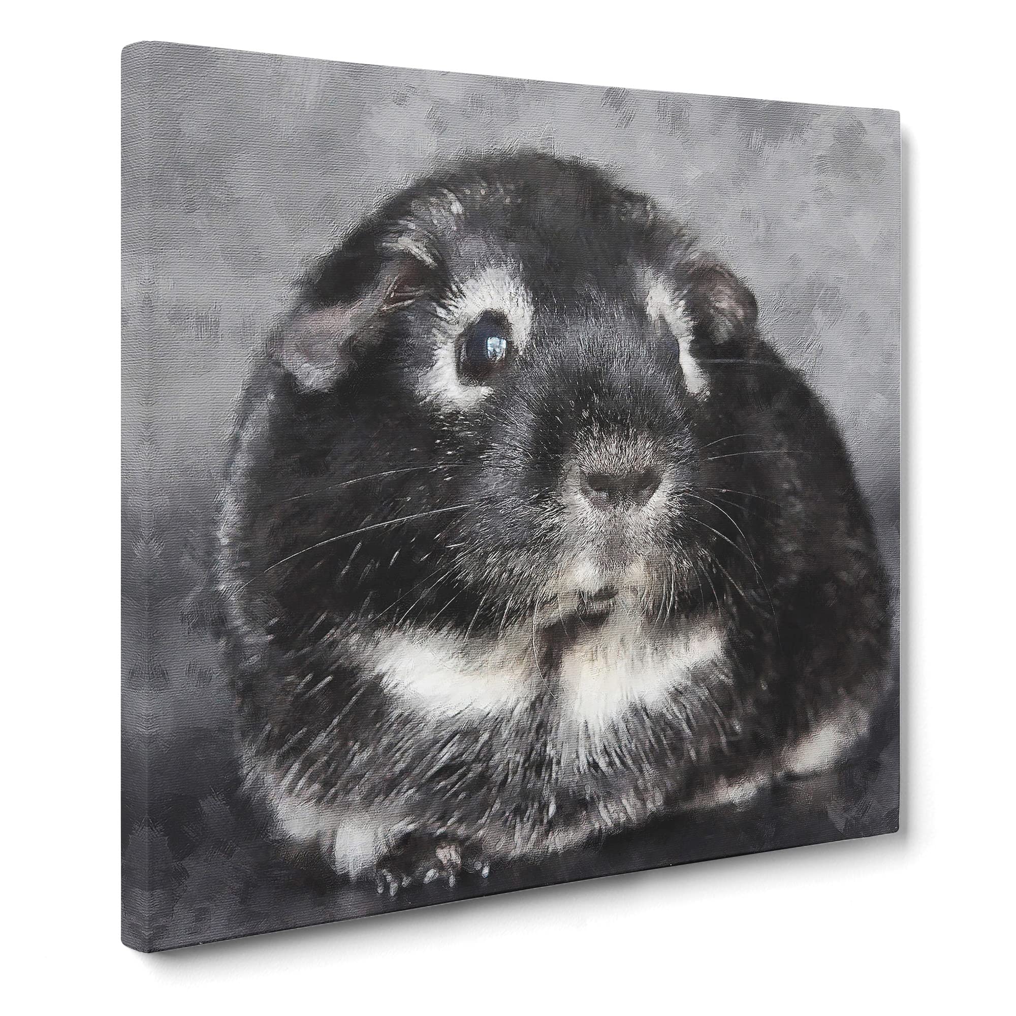 Guinea Pig Canvas Print, Mixed, 35L x 35W cm