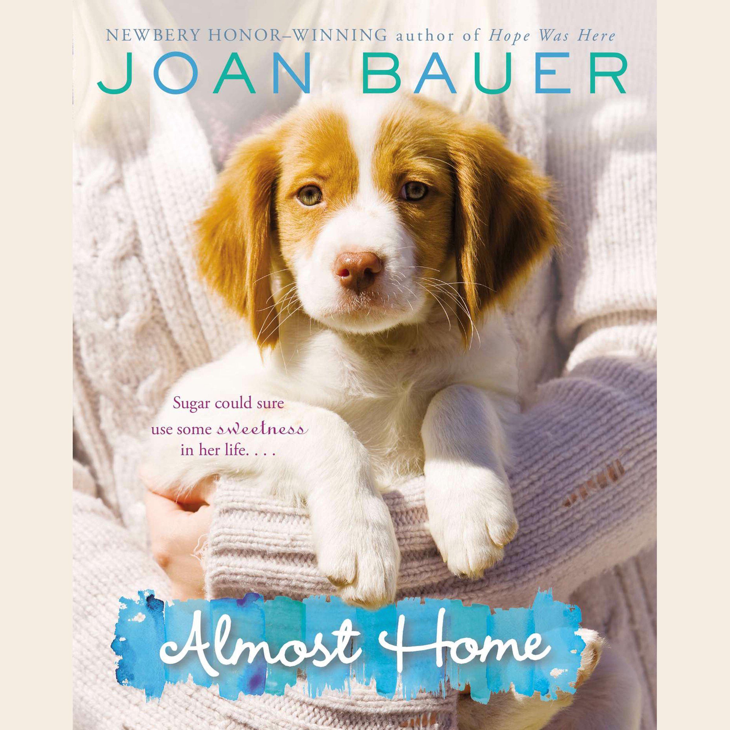 Cover art for Almost Home