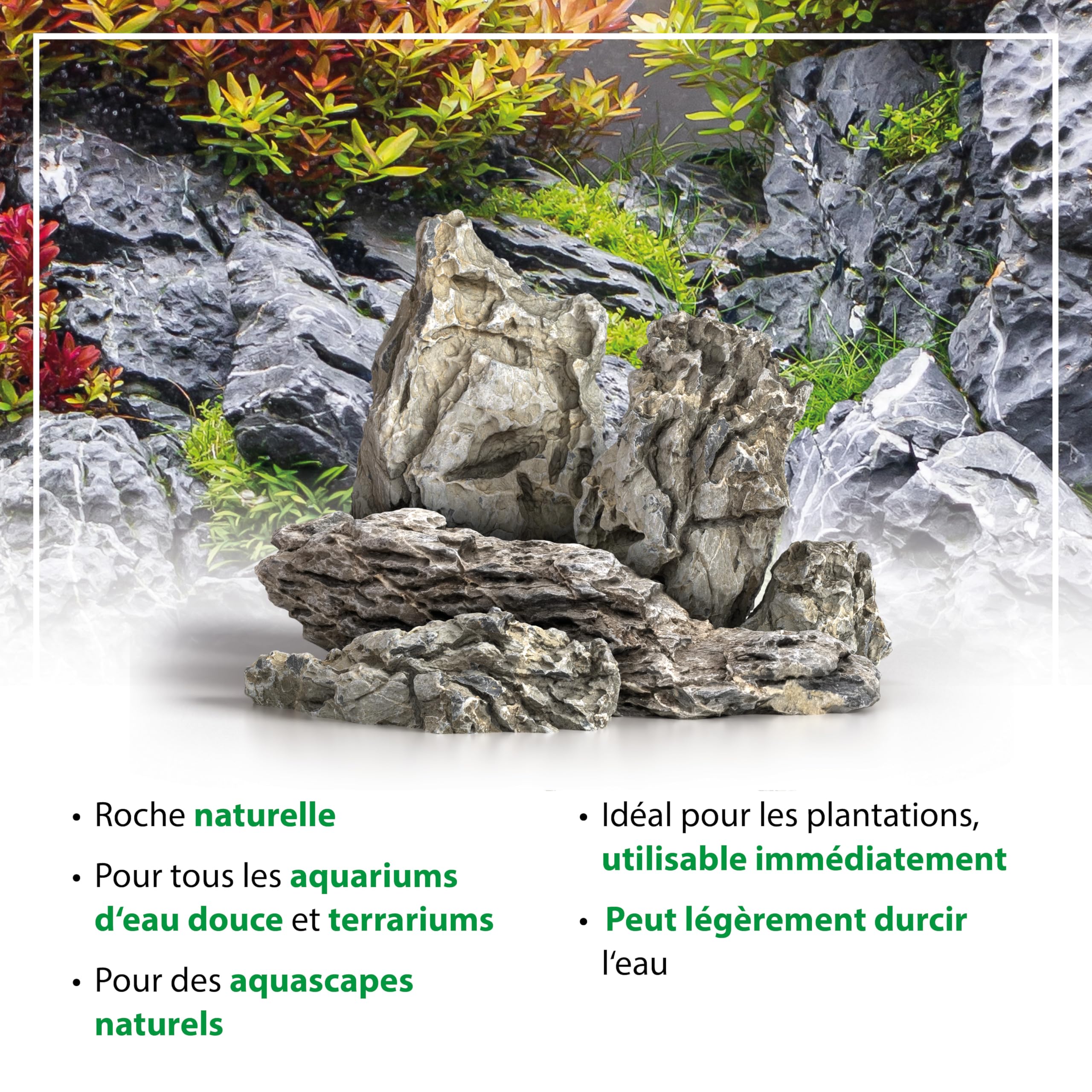 ARKA mySCAPE-Rocks Seiryu - Pierres Naturelles d'aquascaping pour des aménagements créatifs d'aquariums d'eau Douce et de terrariums, idéales pour la Plantation