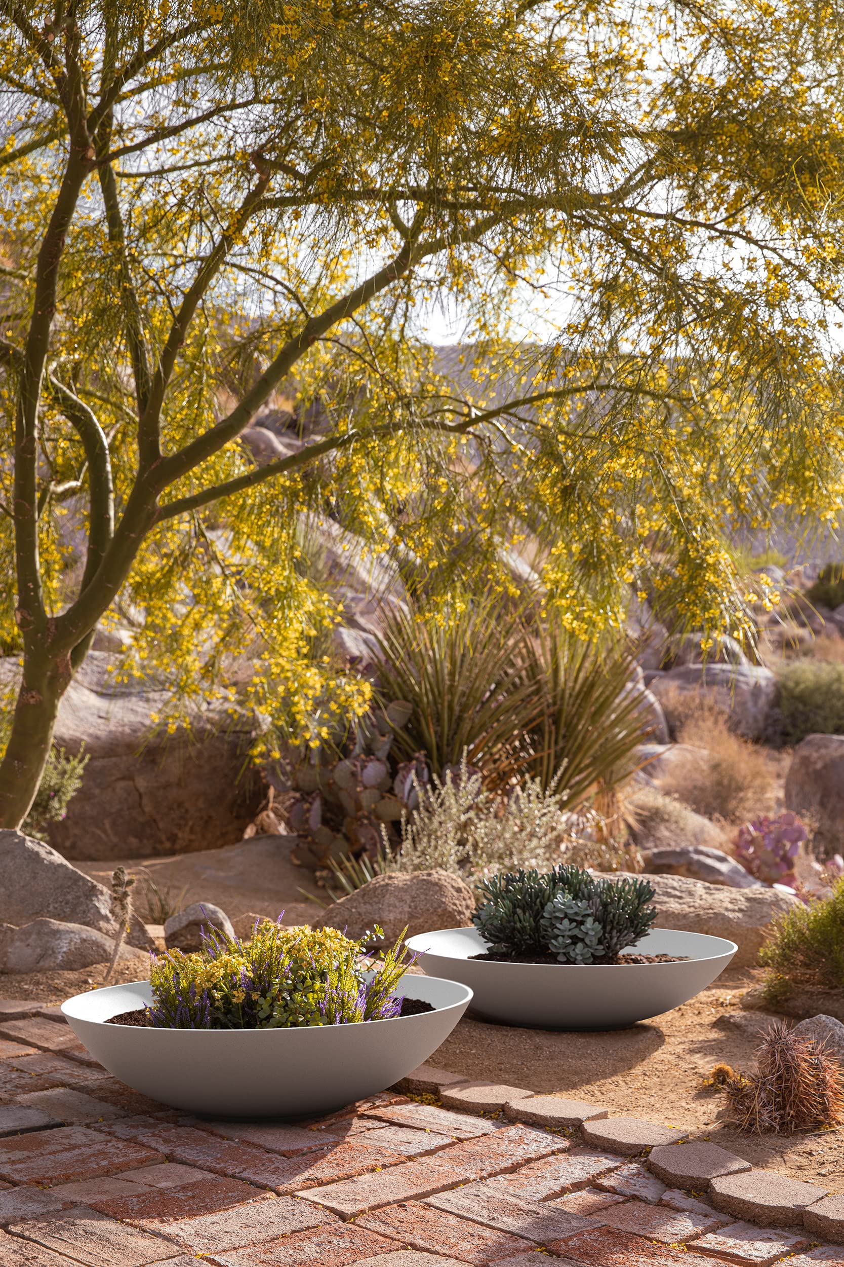 Outside Large Bowl Planters Orinoco Large Bowl Planter | Crescent