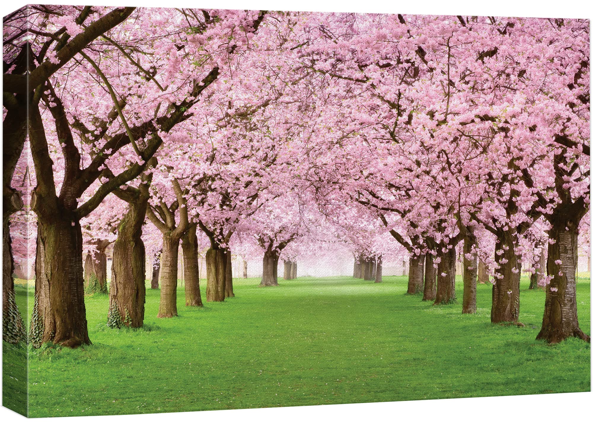 wall26Cherry Blossoms line Path - Canvas Art Home Art - 24x36 inches