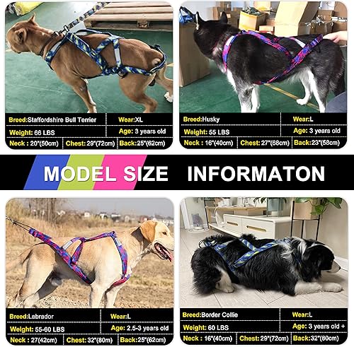 Miniatura 3 de PET ARTIST Arnés de tracción de peso para perro, entrenamiento de velocidad, arnés de trineo para perros medianos y grandes, azul, XL