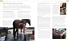 Complete Horse Riding Manual (DK Complete Manuals) Hardcover – 2 Feb. 2023