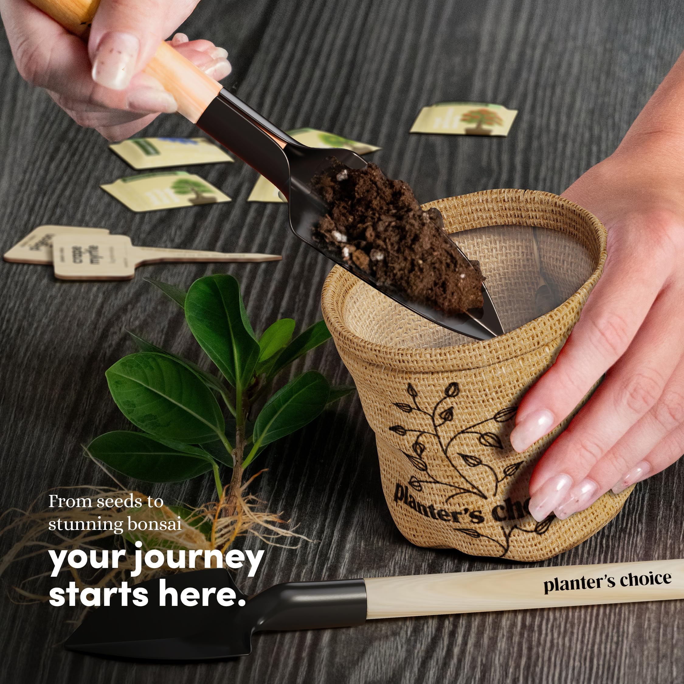 Photo 1 of Planter's Choice Bonsai Tree Starter Kit - Mothers Day Gifts for Women, Men - Birthday Gifts for Adults - Indoor Live House Plants - DIY for Adults Craft Kits - Unique Hobby Gift Gardening Lovers