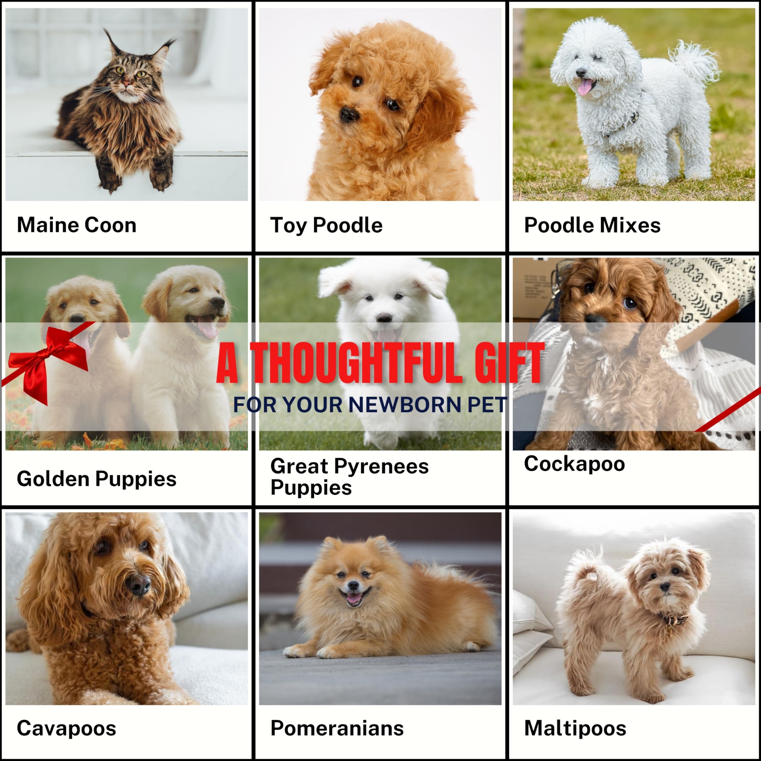 Spazzola specializzata per la toelettatura di gatti Maine Coon, grandi Pirenei, cani scarabocchi (Goldendoodles, barboncini e labradoodles) – Funziona senza sforzo attraverso cappotti densi e lunghi,
