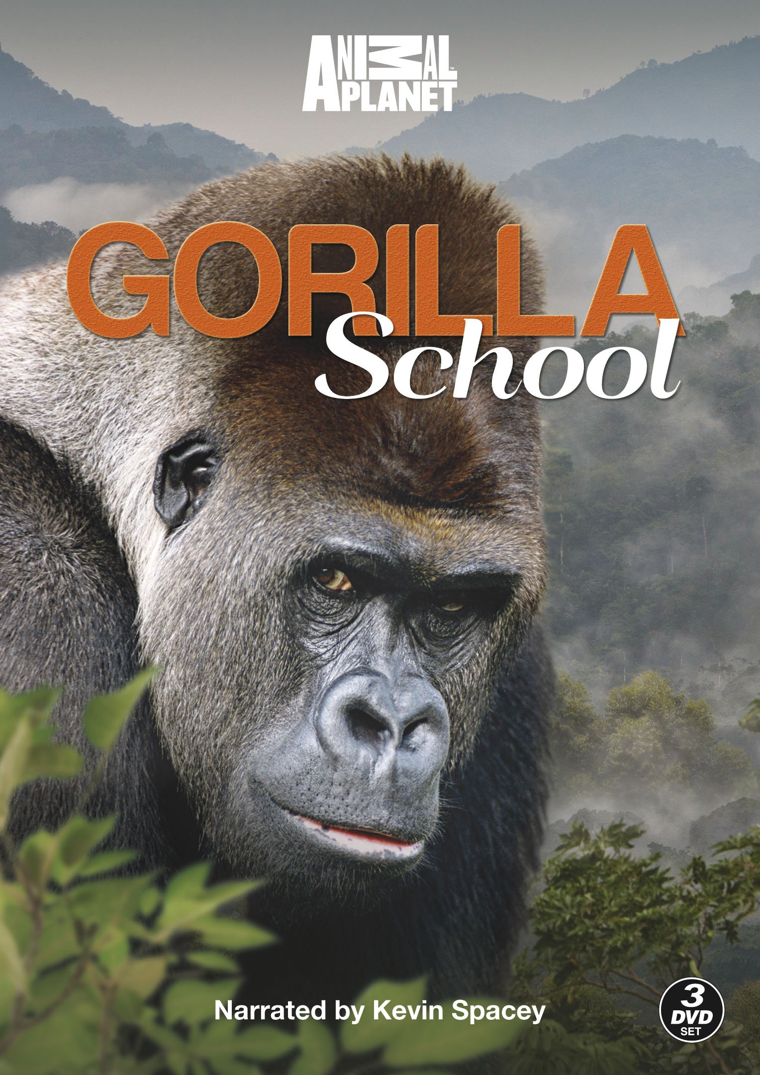 Gorilla School DVD importación del Reino Unido para toda la familia