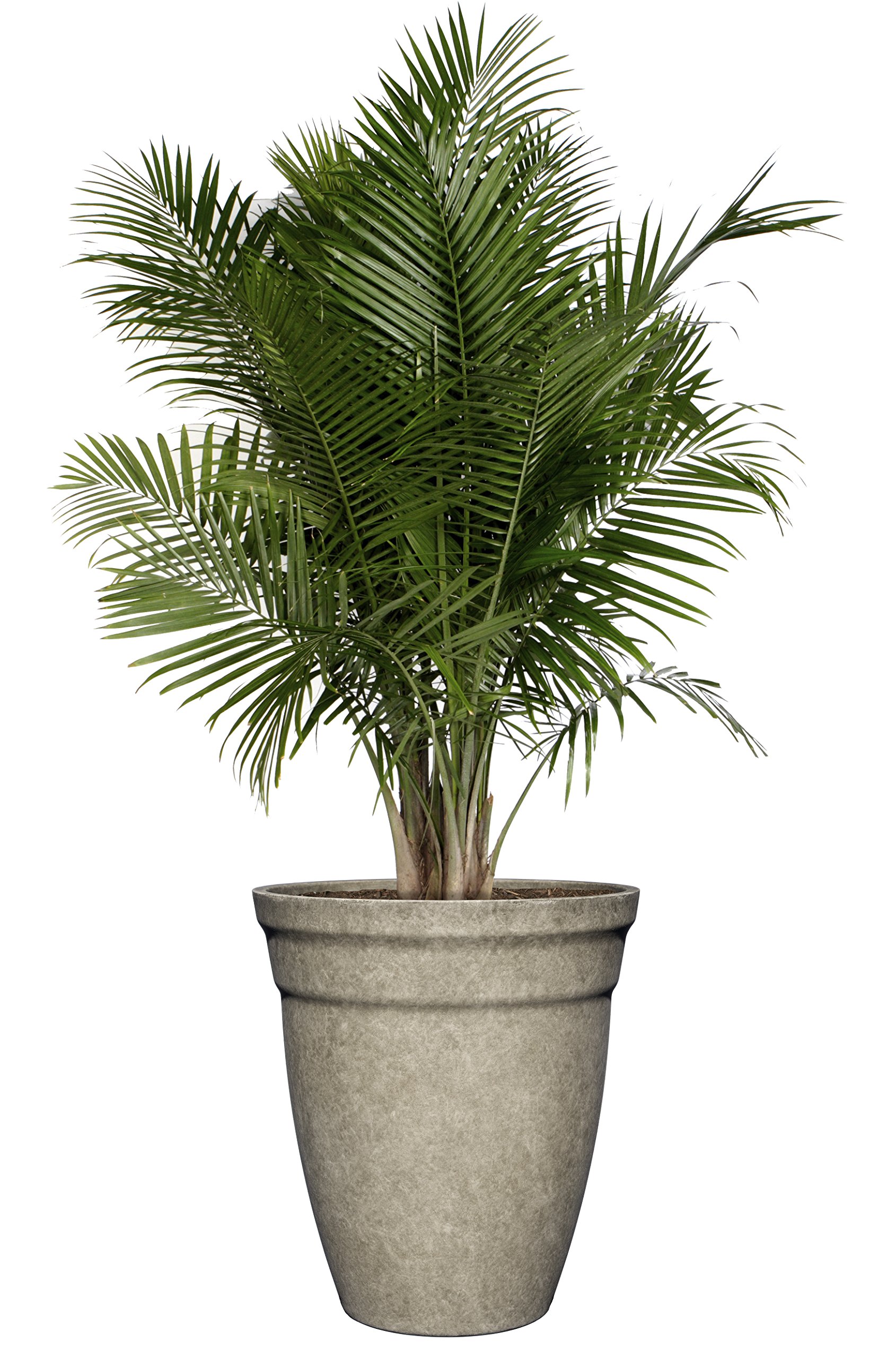 Classic Home and Garden Premiere Collection Planter, Allaire 12