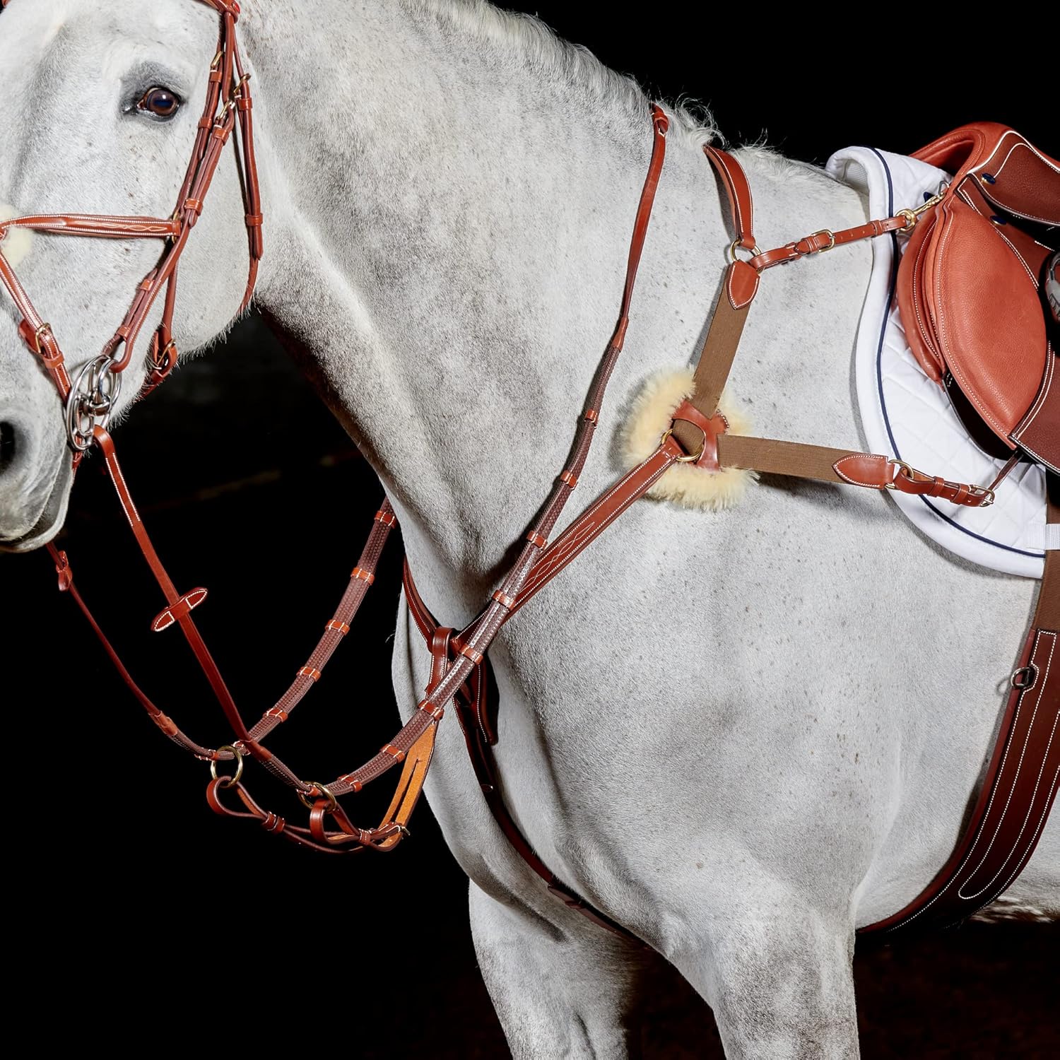 Whitaker Valencia Leather 5-Point Breastplate