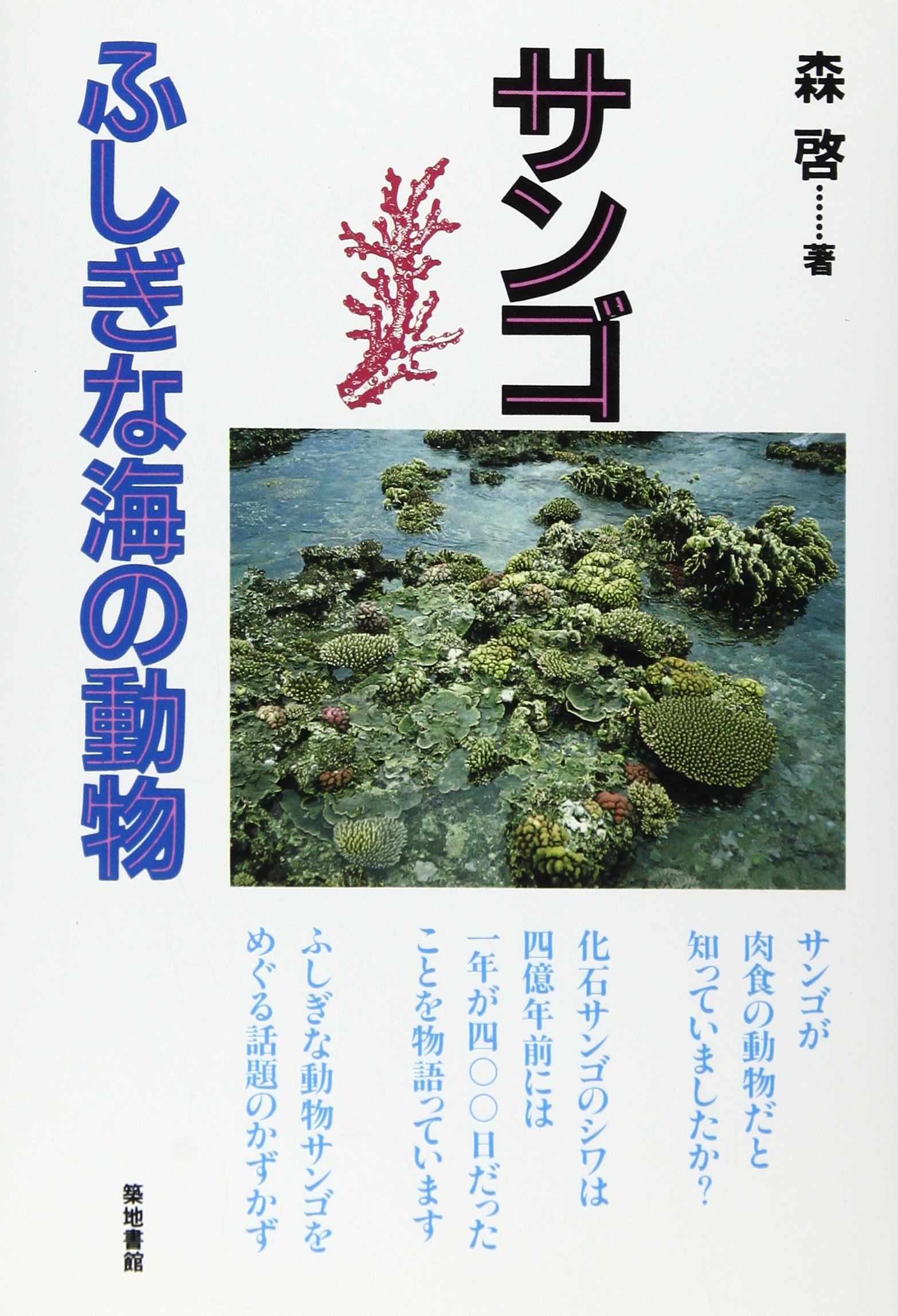 サンゴ ふしぎな海の動物 森 啓 本 通販 Amazon
