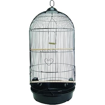 round budgie cage