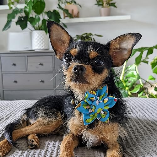 Miniatura 5 de Huxley & Kent Molinete para mascotas  Cinco Fiesta (pequeño)  Accesorio de collar de velcro para perrosgatos  Divertido accesorio para collar de