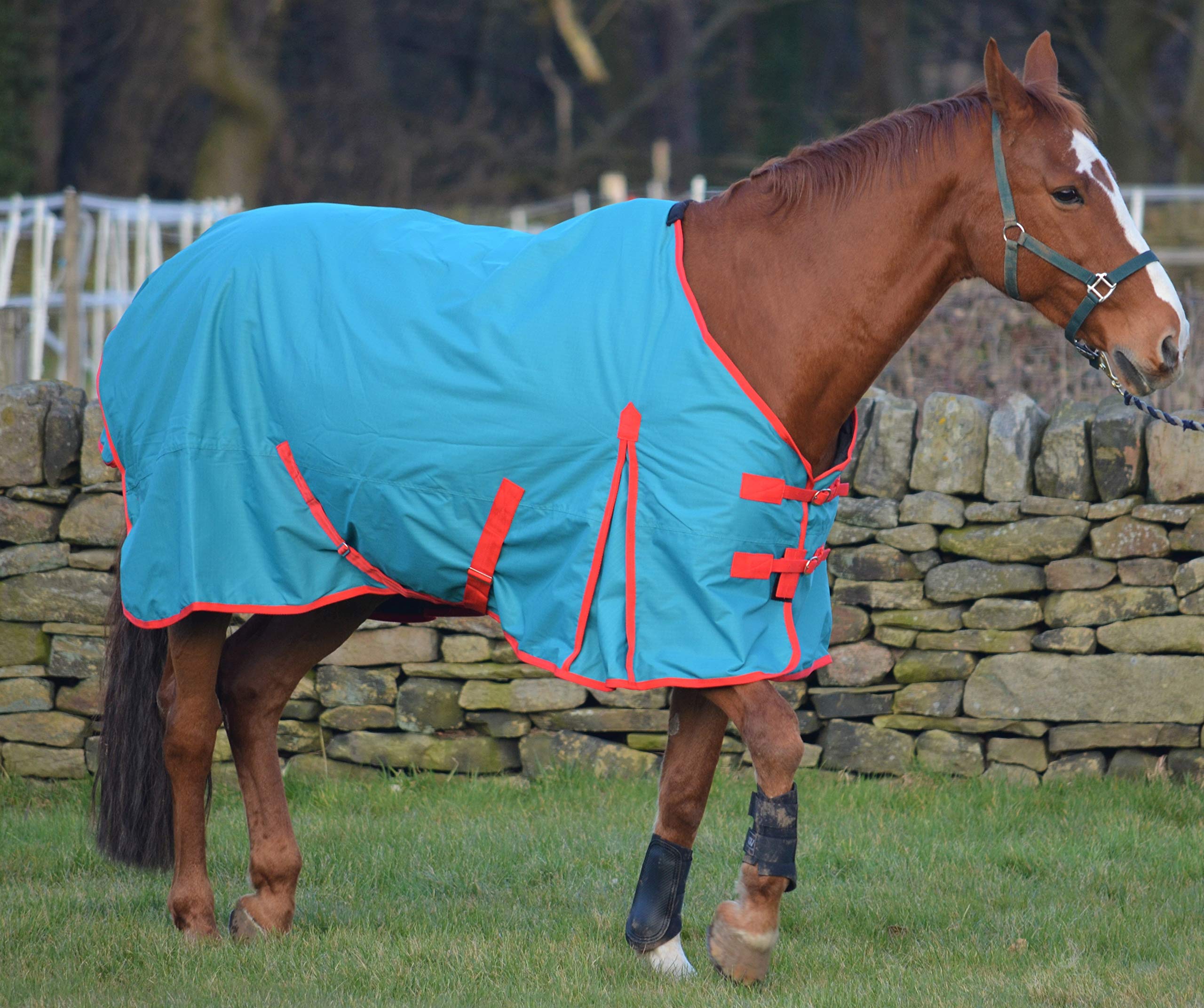 Turners Lightweight 100g Fill Waterproof Turnout Rug for Horse and Shetland Pony