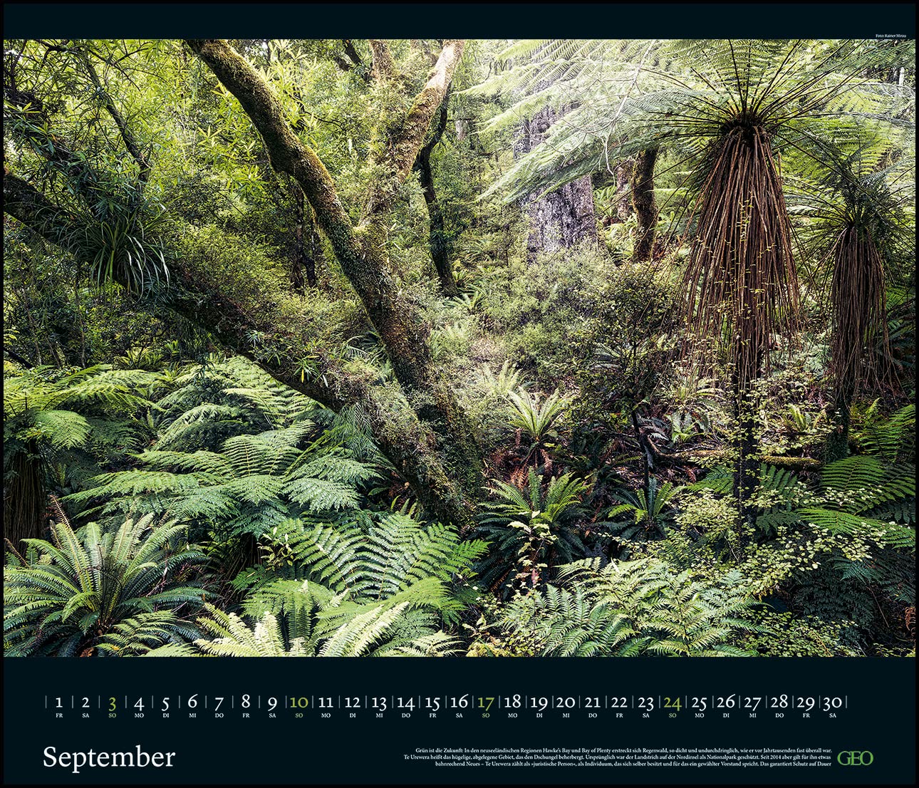 GEO Edition: Kräfte der Natur 2023 - Wand-Kalender - Poster-Kalender - 70x60