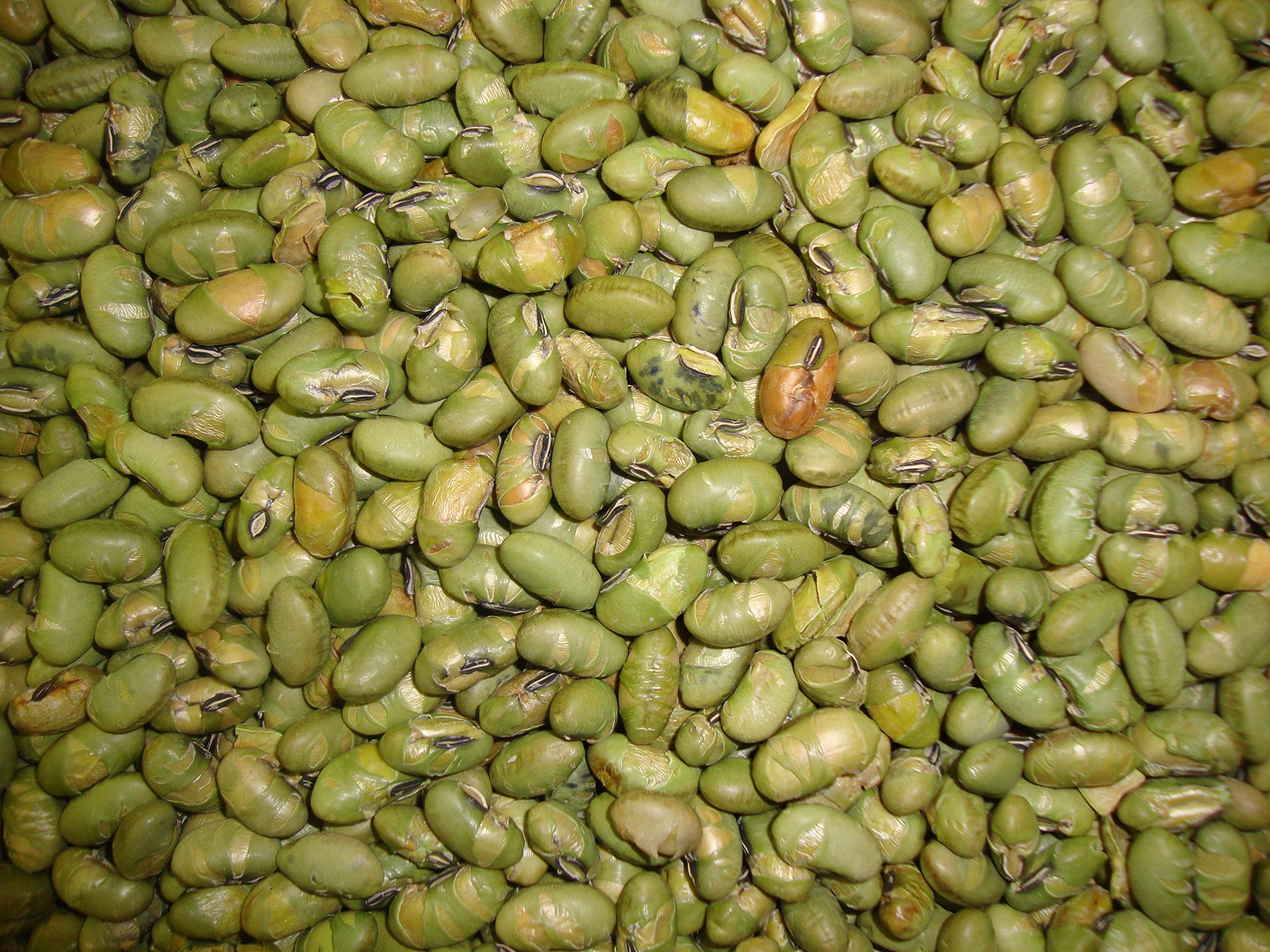 Edamame Beans 1 Kg, Roasted, Lightly Salted , Gluten Free, Rich in