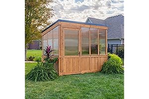 Premium 9 ft x 6 ft Willow Greenhouse for Gardeners