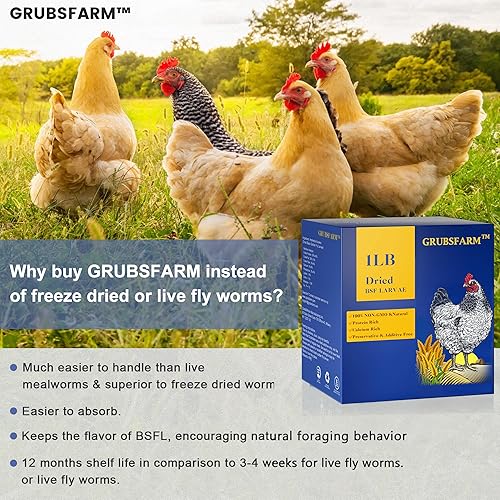 Vista 18 de Superior a los gusanos secos de la harina para pollos 5 libras - 85 veces más calcio que los gusanos de la harina - Alimento para pollo sin OMG