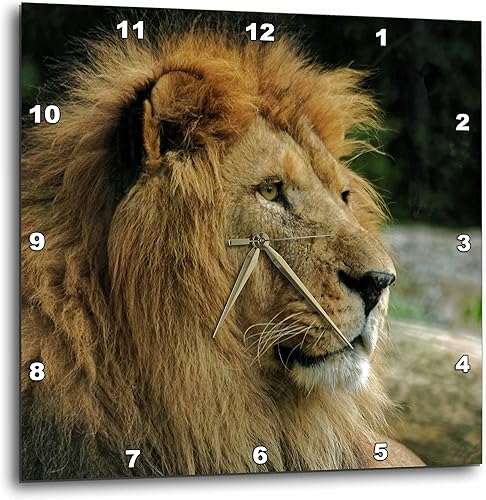 Reloj de pared estilo animal con retrato de rosa 3D de vida silvestre africana, 13 x 13 pulgadas