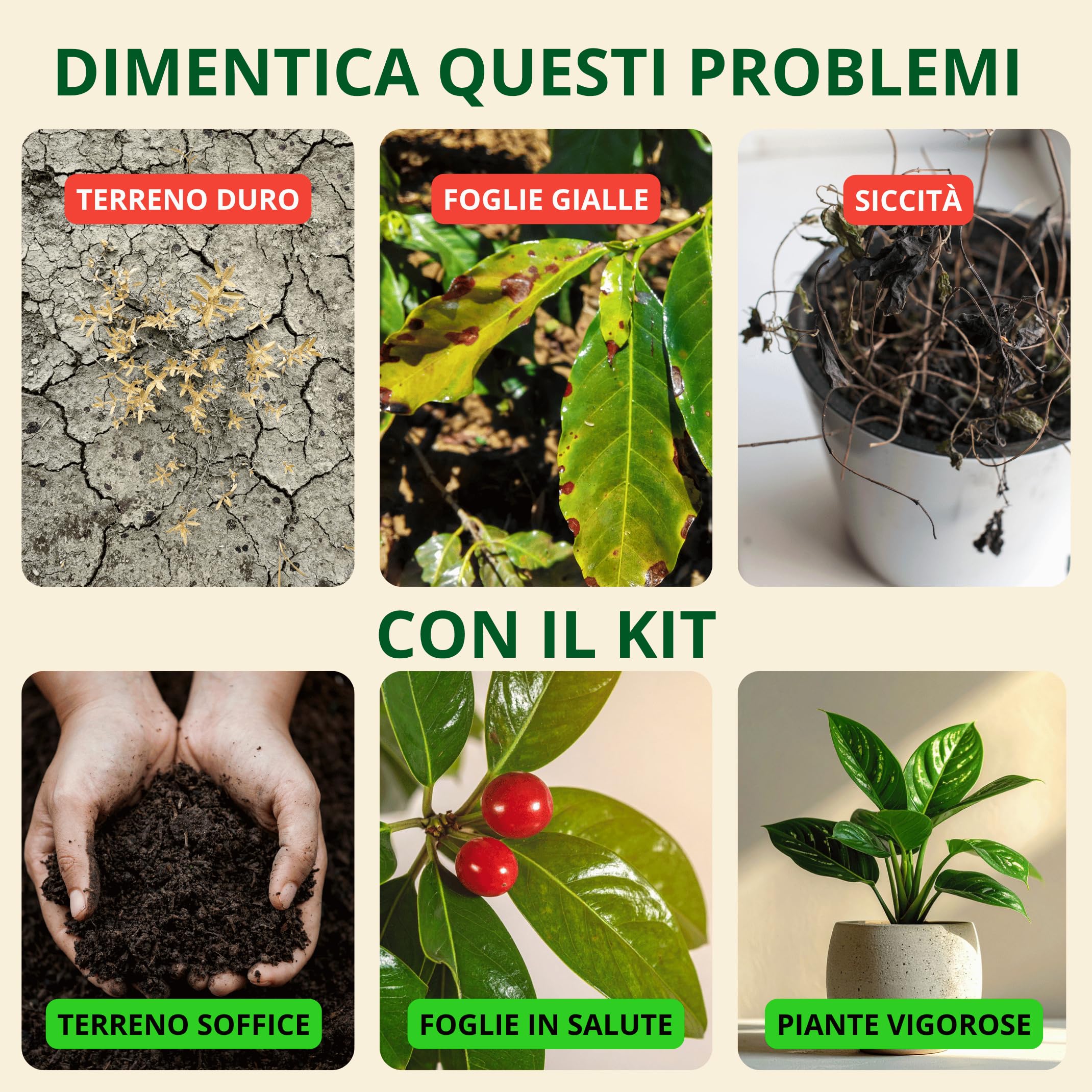 Kit Concimazione Perpetua Suolo Vivo Concimiamo® | Humus di Lombrico, Zeolite e Biochar | Ricrea la fertilità della Terra Amazzonica |100% BIO fino a 20 m² per Orto, Vasi, Giardino e Piante da Frutto