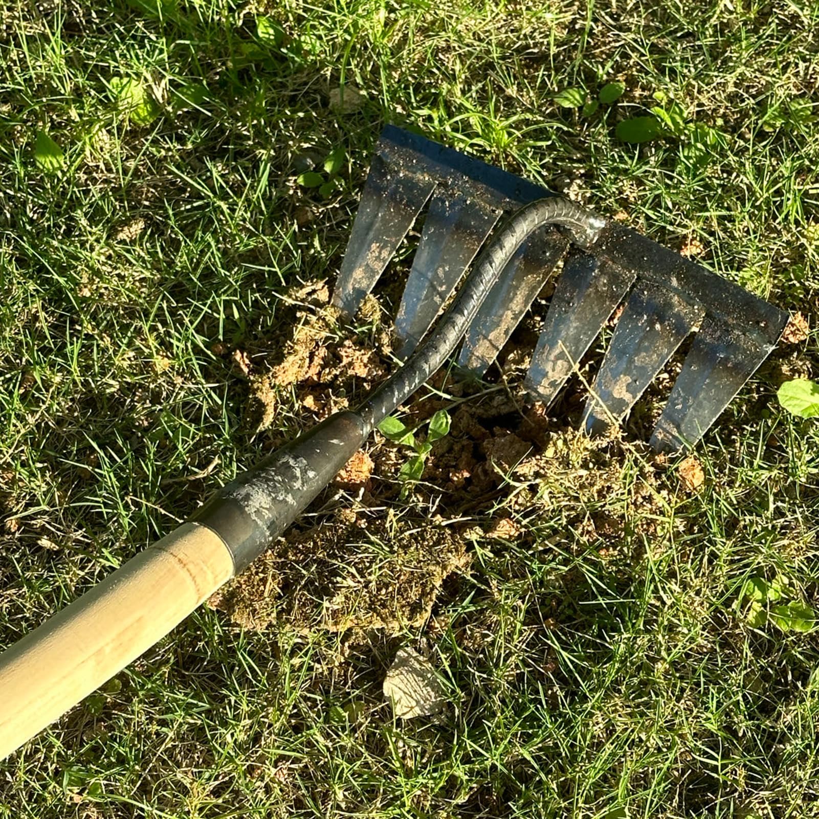 2 rastrelli da giardino in carbonio, in metallo, resistente, per diserbo e zappa, rastrello in ferro, per giardino, giardino, diserbo, allentamento, piantagione, 4 e 6 denti
