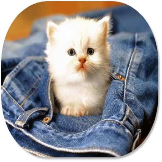 Animal Lover HD Wallpapers