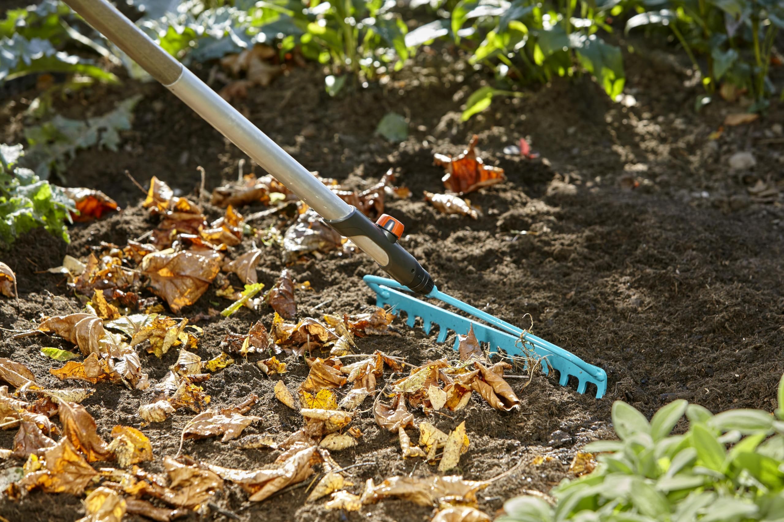 Gardena combisystem grabie kabłąkowe: wytrzymałe grabie z 14 zębami, do zgrabiania, szerokość robocza 36 cm, konstrukcja dwupałąkowa do intensywnego użytkowania, do wszystkich trzonków cs (3168-20)