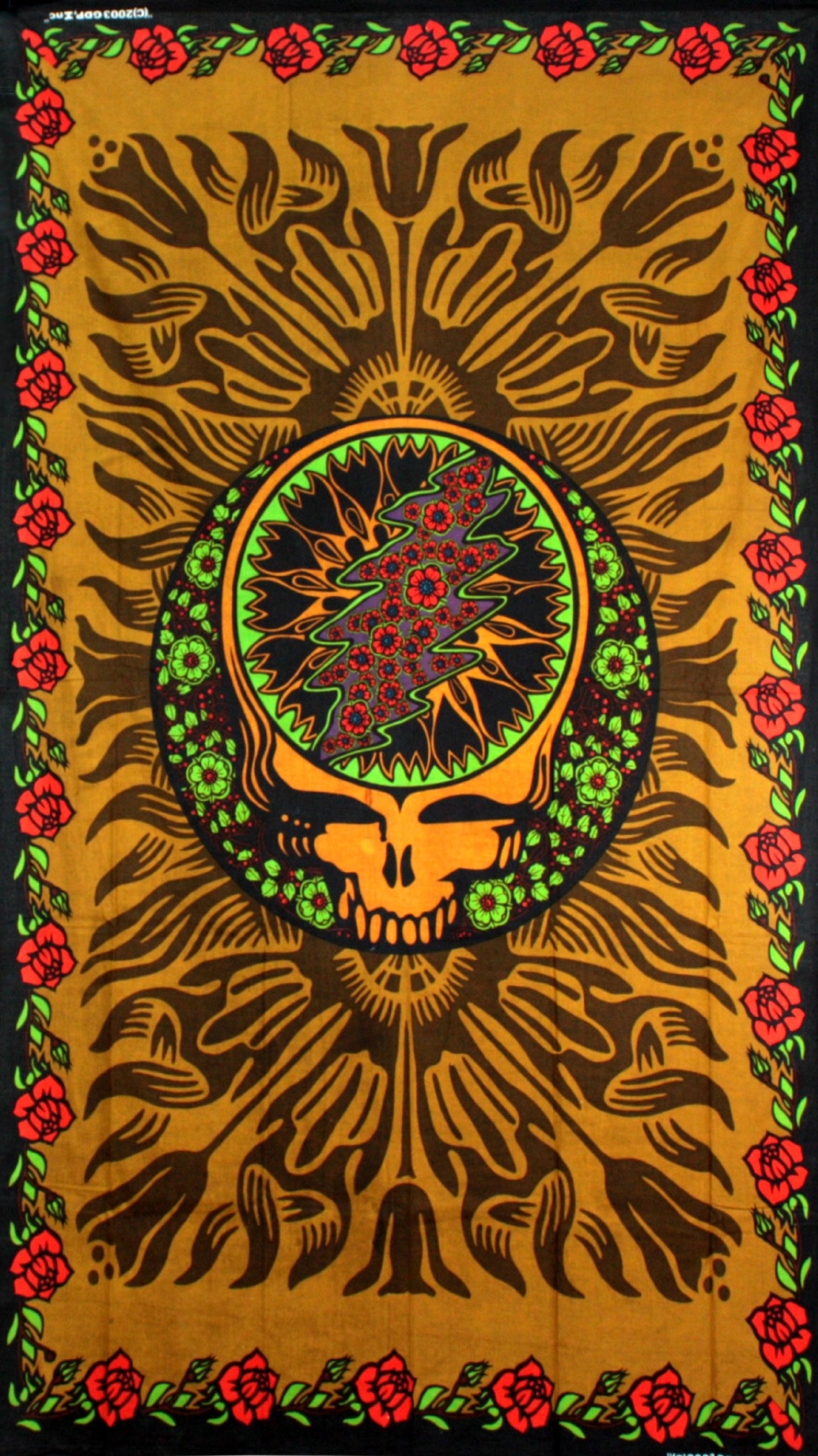 Amazon.com: Sunshine Joy Grateful Dead 3D Steal Your Face Tapestry