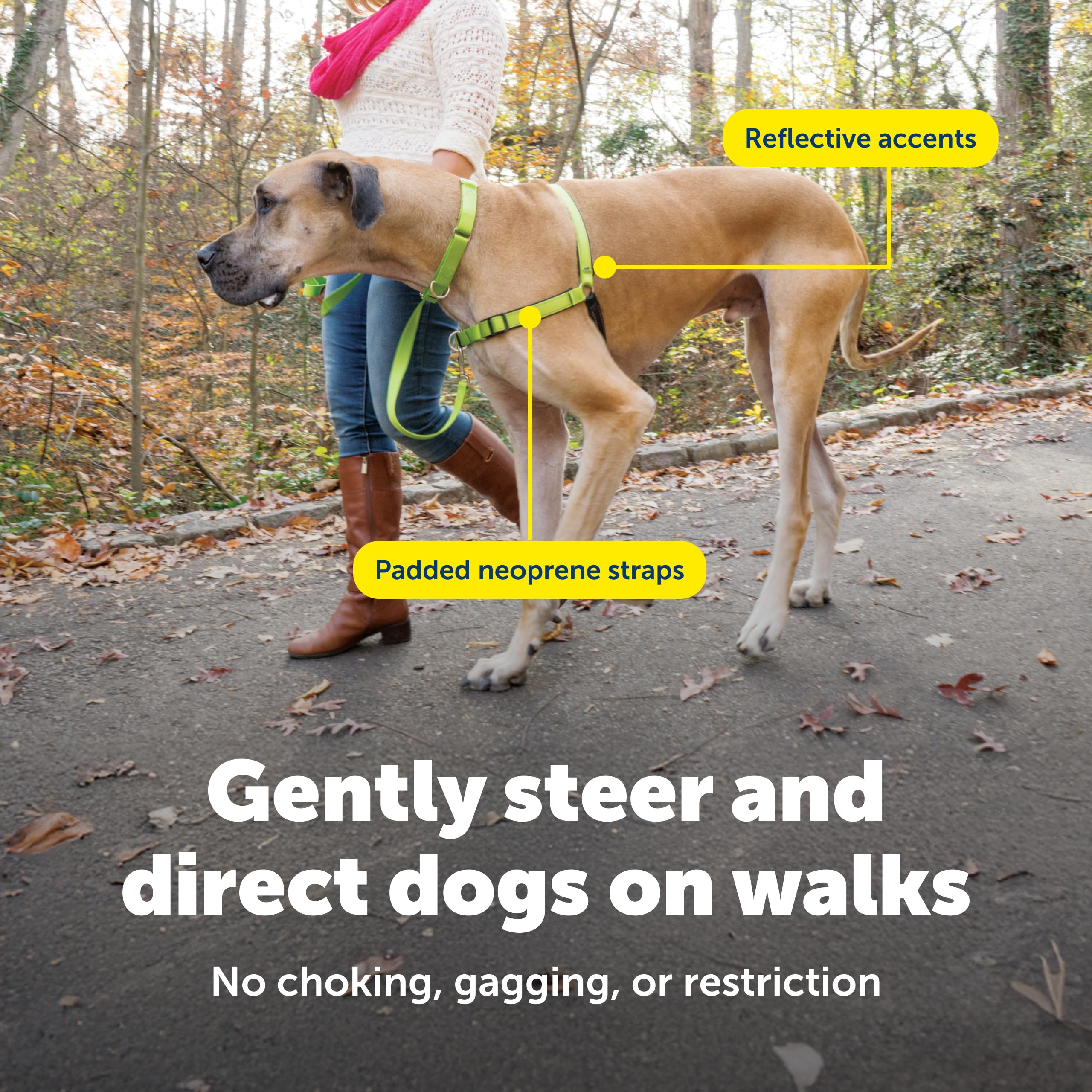 Amazon | PetSafe（ペットセーフ） 犬用 引っ張り防止ハーネス