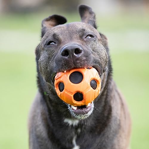 Miniatura 2 de Nerf Productos 3220 Bash Crunch Ball, grande, naranja, talla única para la mayoría