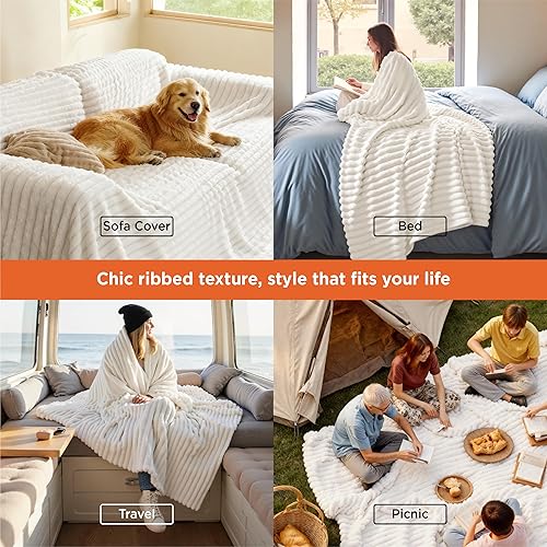 Miniatura 457 de Bedsure GentleSoft Twin Blanket for Couch - Cozy Soft Blankets for Women, Cute Small Fleece Throws for Girls, Light Grey, 60x80 Inches