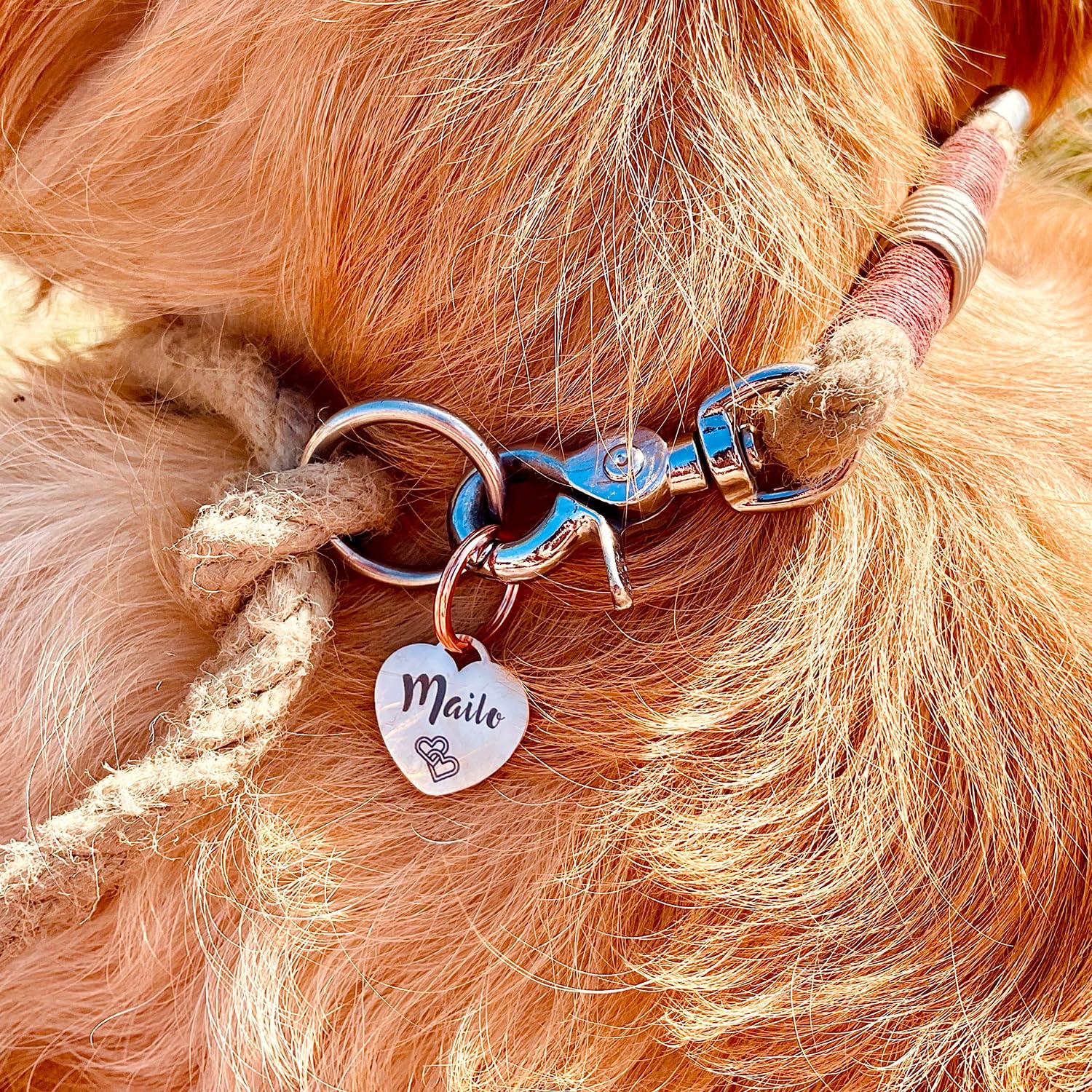 Medaglietta per cani GOLDEN PAW in acciaio inossidabile con incisione a forma di cuore, personalizzata e robusta, per cani, cavalli, gatti e cuccioli - Oro rosa
