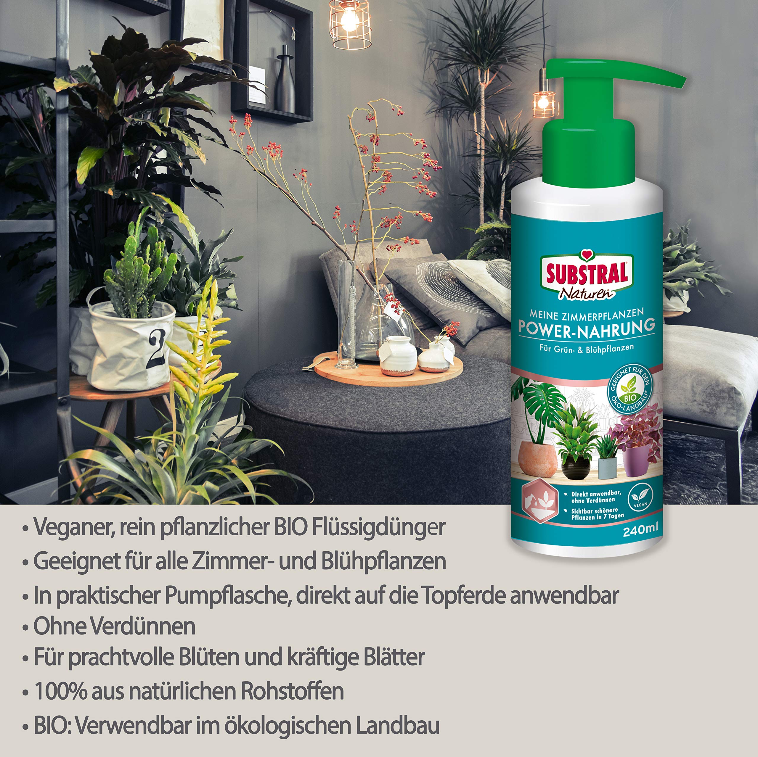 zimmerpflanzen pilea Chinesischer Geldbaum Zimmerpflanze Ø12cm 20cm kaufen main image 0