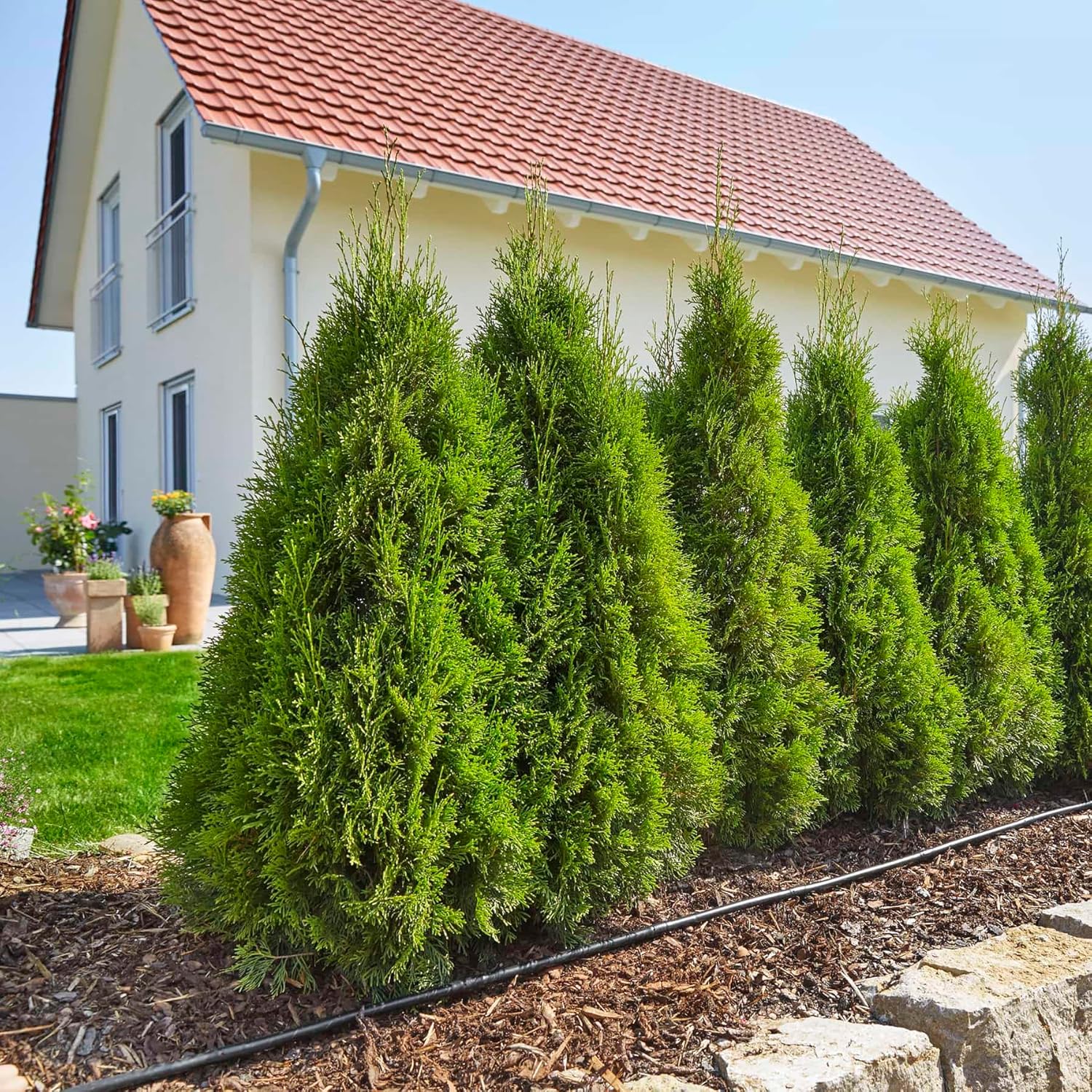 Gardena 13011 Micro Drip for Plant Rows,Black