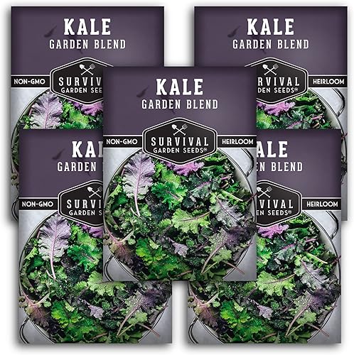 Survival Garden Seeds - Mezcla de semillas de col rizada para plantar - 2 paquetes con instrucciones - Col rizada comestible, ornamental - Col