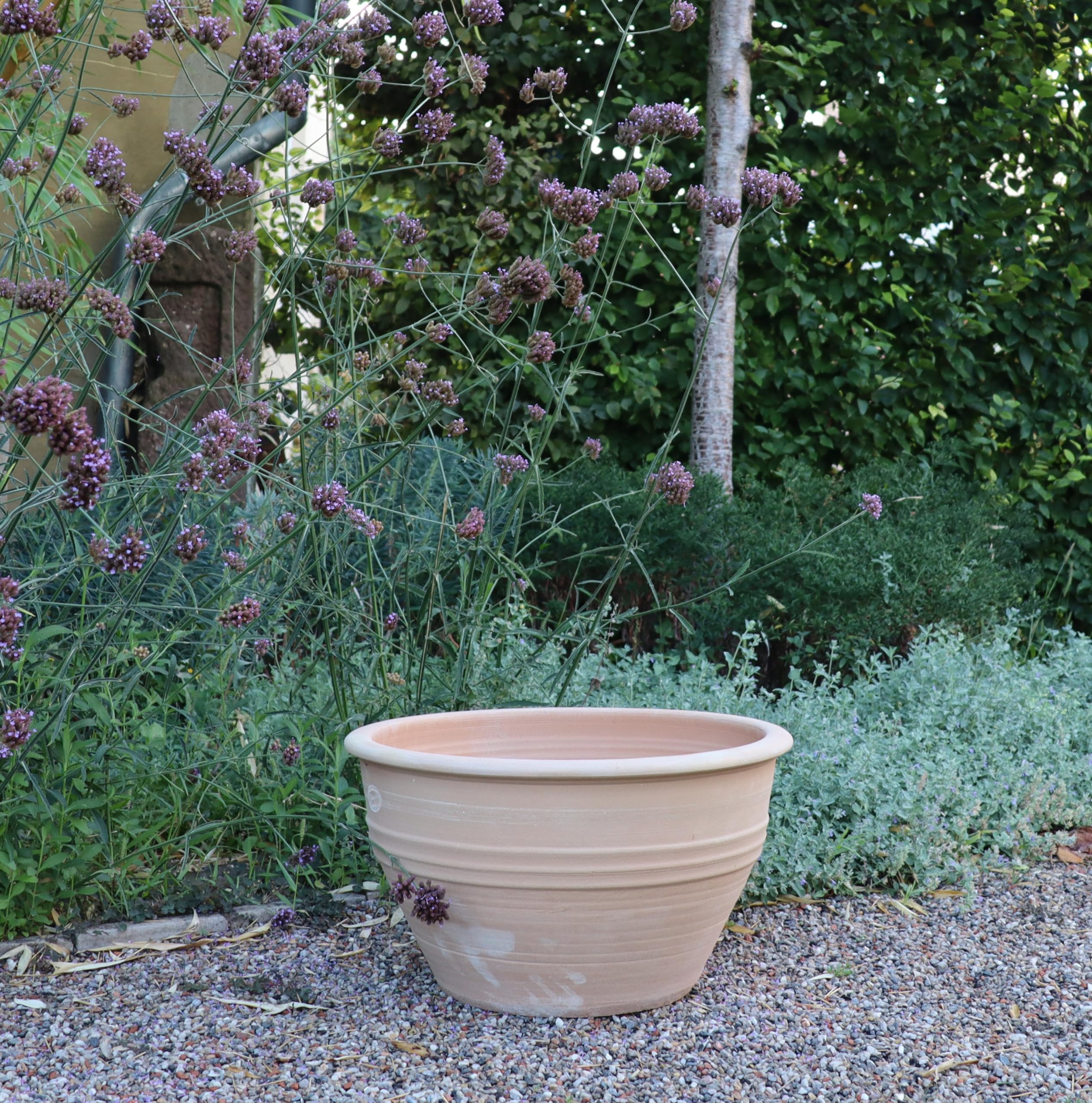 Palatina Werkstatt, Macetero de terracota resistente a las heladas en diferentes tamaños, jardín terraza Vernonica, 35 cm
