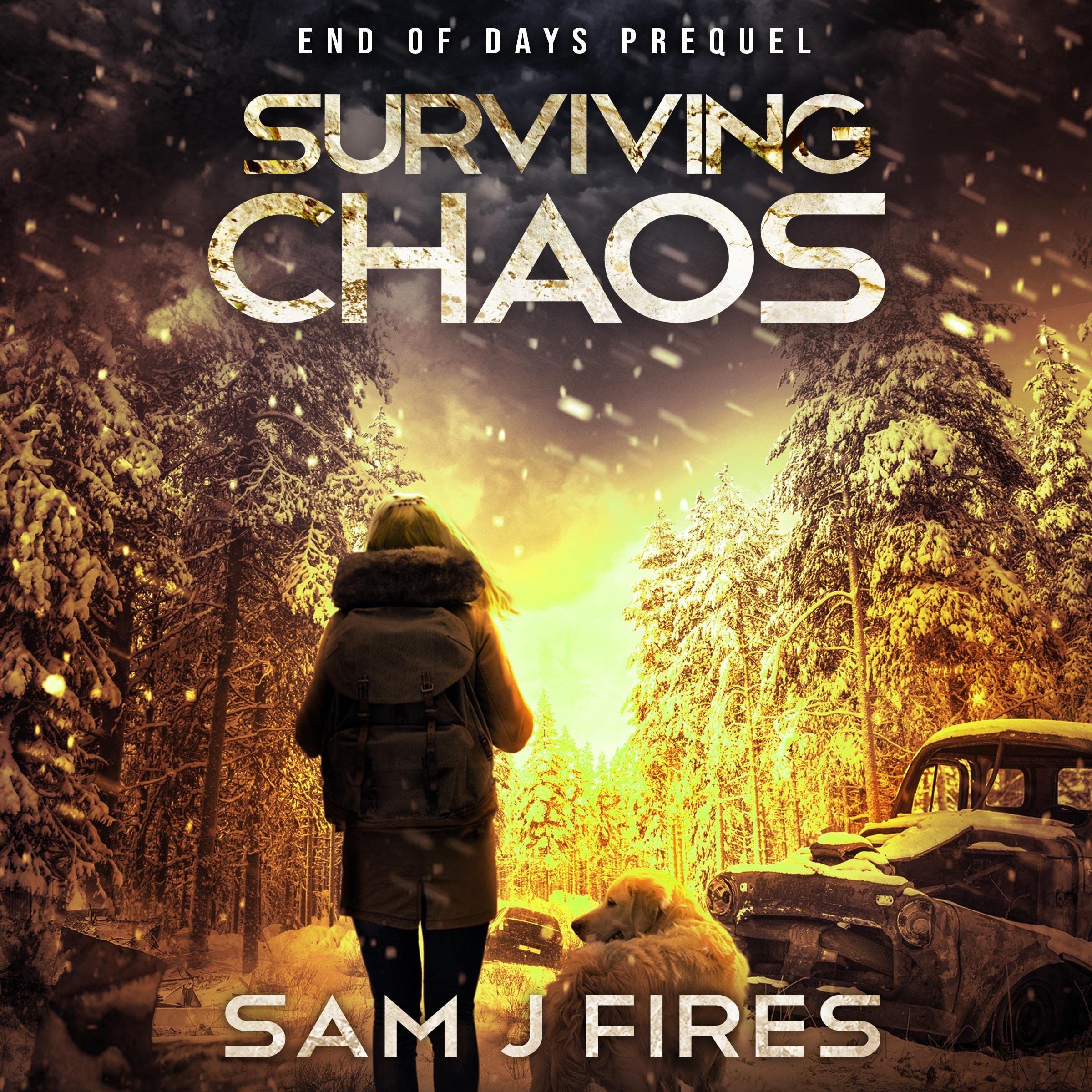 Cover art for Surviving Chaos