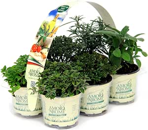 Fioriera In Legno Pieghevole Vaso Per Fiori E Piante Esterno Giardino 70x30x25cm 85914573