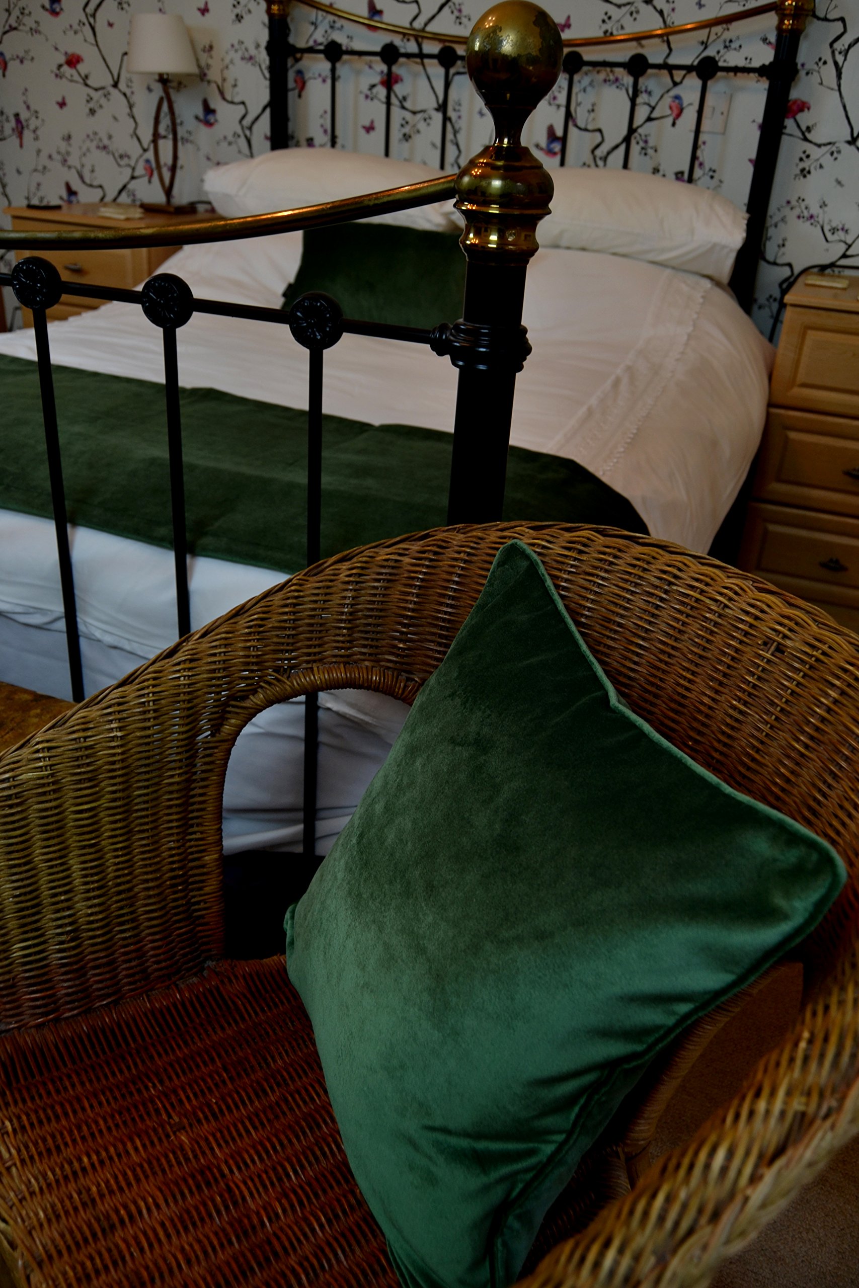 McAlister Textiles Cuscino e Copricuscino, Velluto Opaco, Velluto, Moss Green, 60 cm x 40 cm
