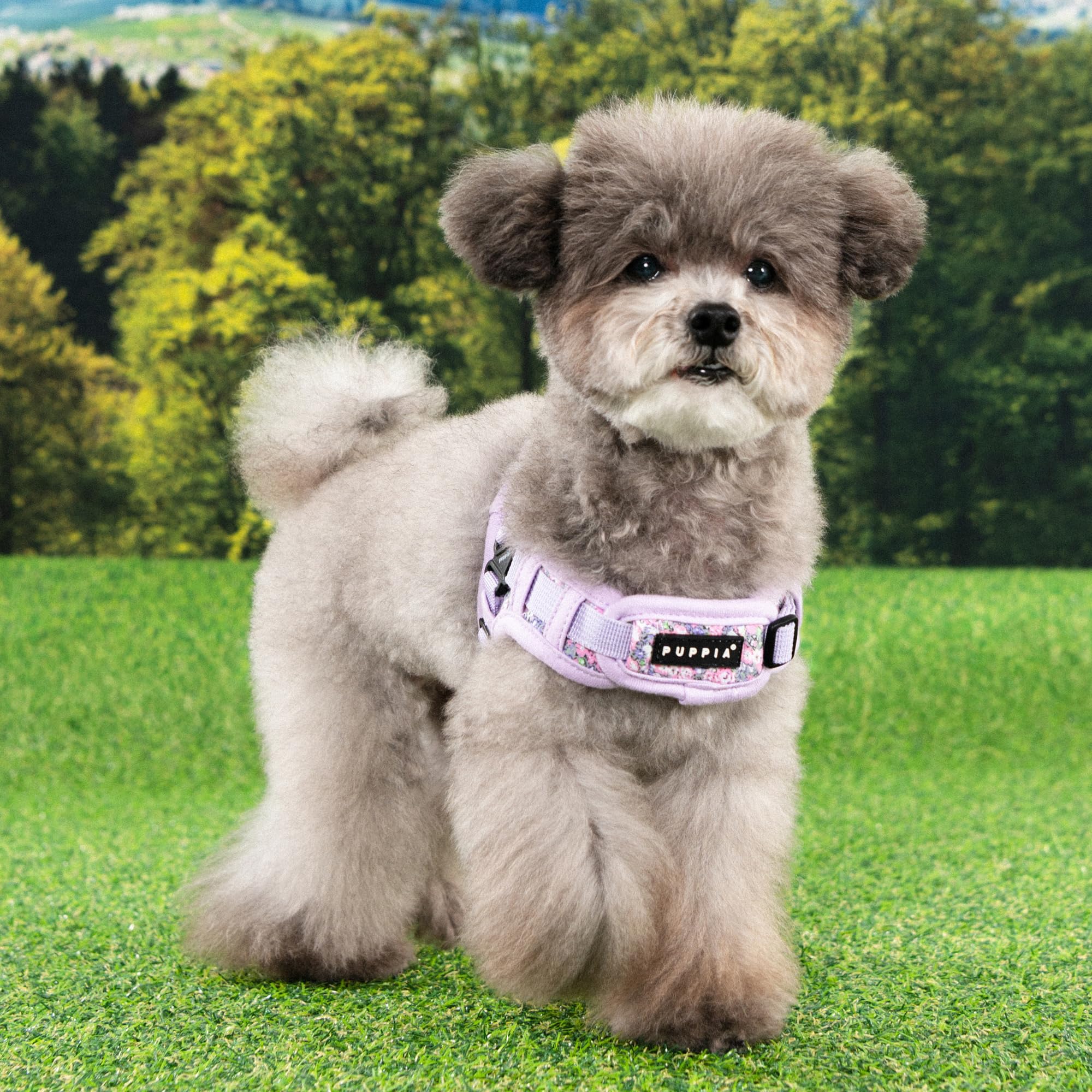 Puppia Kealoha Hundegeschirr X, modisches Blumenmuster, Frühling Sommer Geschirr für kleine und mittelgroße Hunde, Violett, Klein