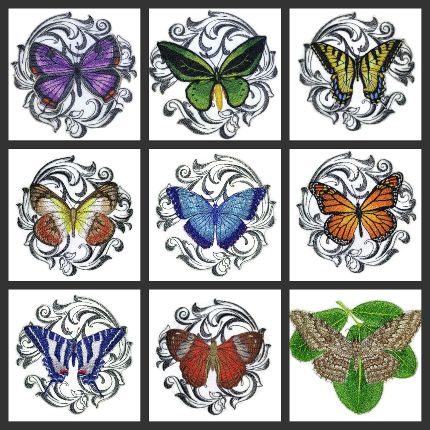 BeyondVision Custom and Unique Amazing Colorful Butterflies[ Common Green Birdwing with Baroque ] Embroidered Iron On/Sew Patch [5" x5"] Made in USA