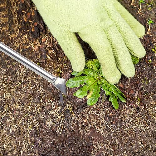 Miniatura 5 de Herramienta de extracción de malas hierbas, herramienta de desbrozadora manual de diente de león con mango ergonómico, doblado manual de acero