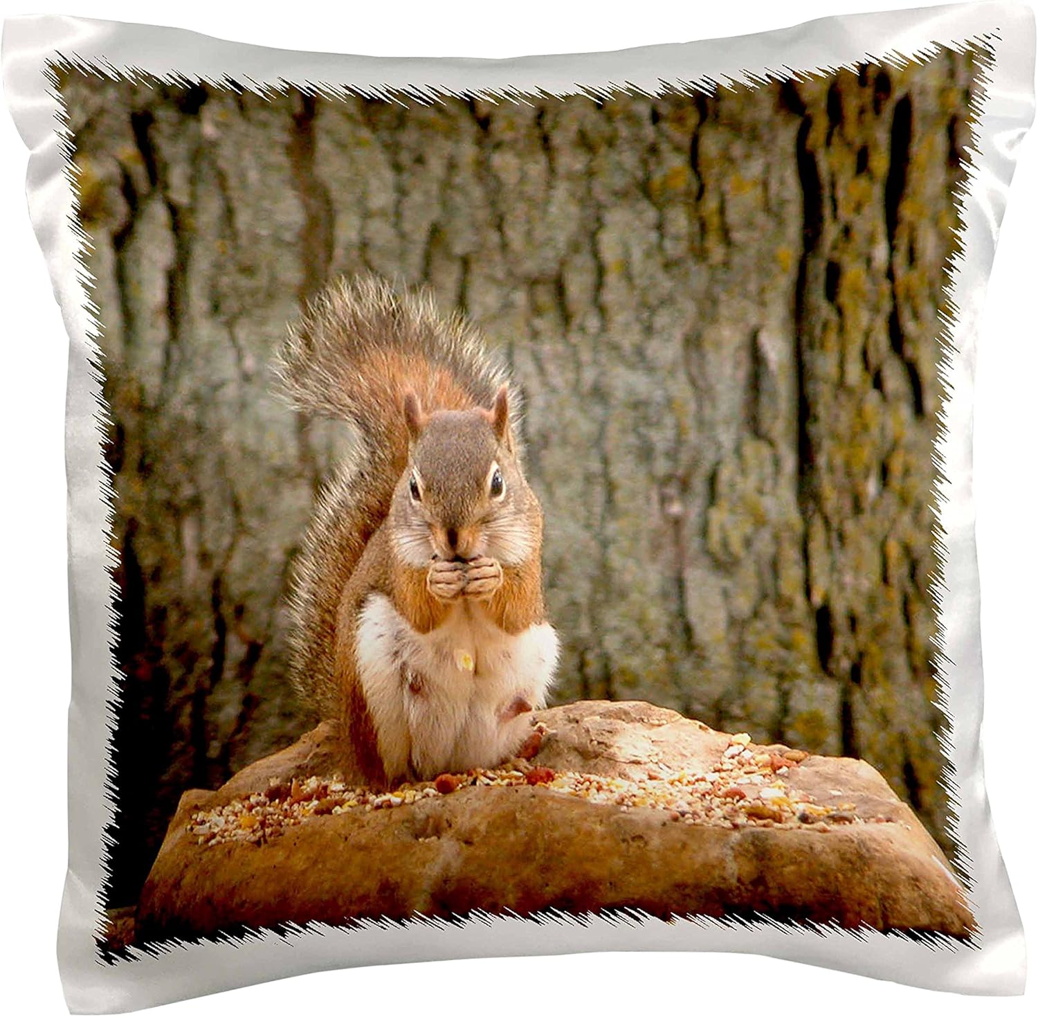 squirrel pillow
