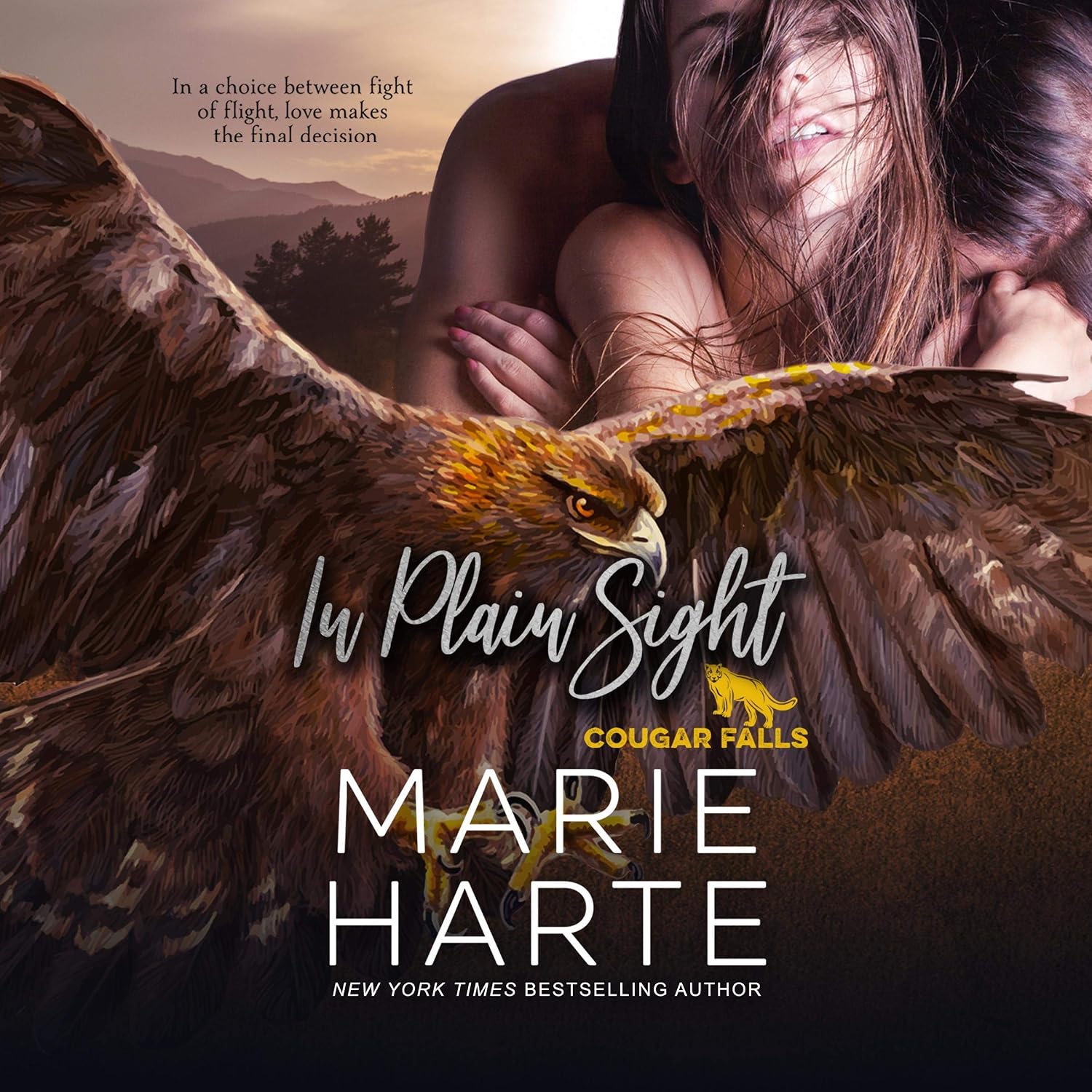 In Plain Sight (Audible Audio Edition) Marie Harte, Erin