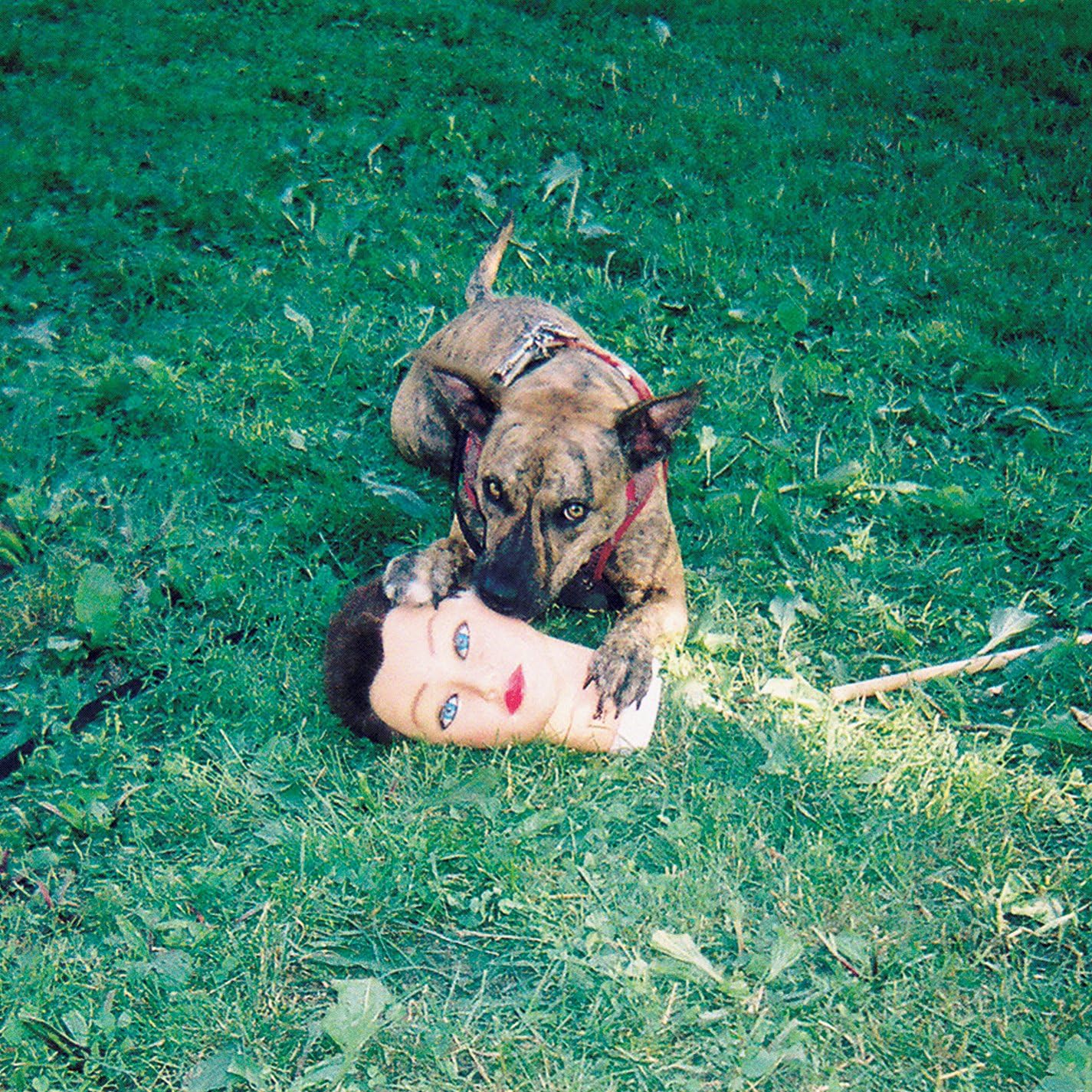 Cody por Joyce Manor — capa do álbum