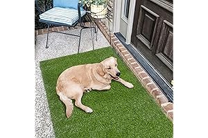 Falflor Artificial Outdoor Fake Grass Rug for Your Patio, Balcony, or Outdoor Space