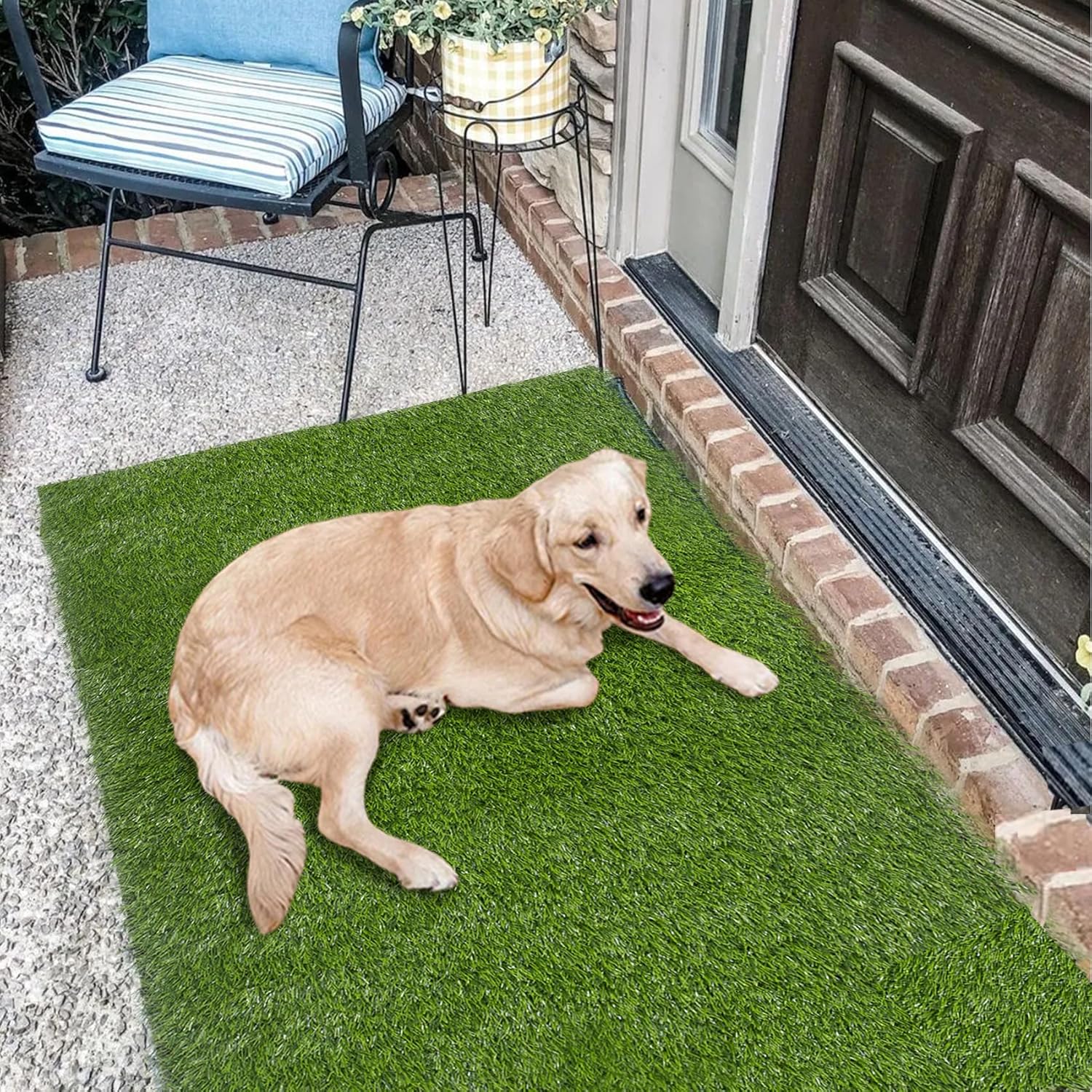 Amazon.com: Falflor Artificial Grass Turf Rug 2.2'x3.3' Grass Outdoor ...