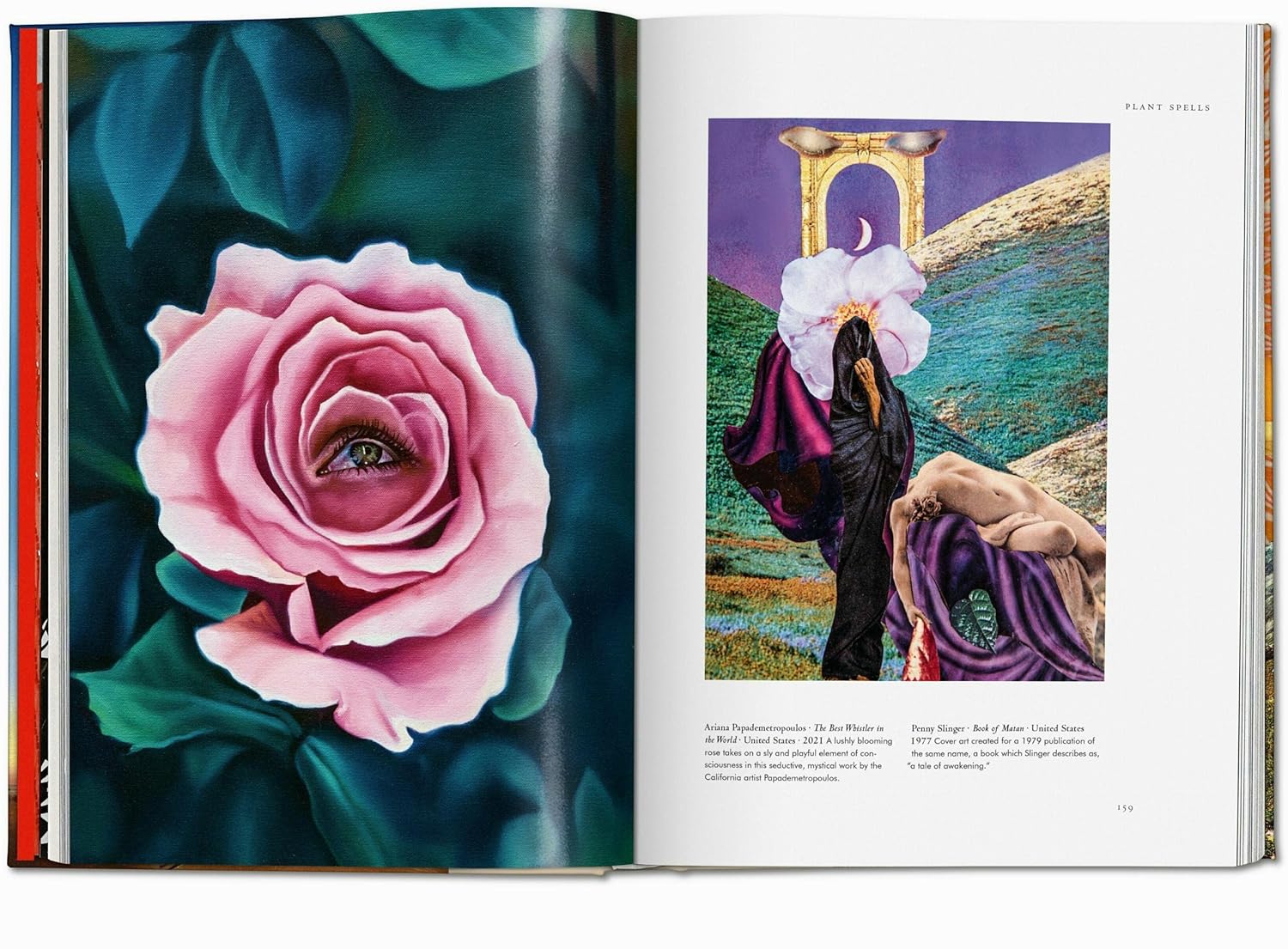 Plant Magick. The Library of Esoterica - Image 7